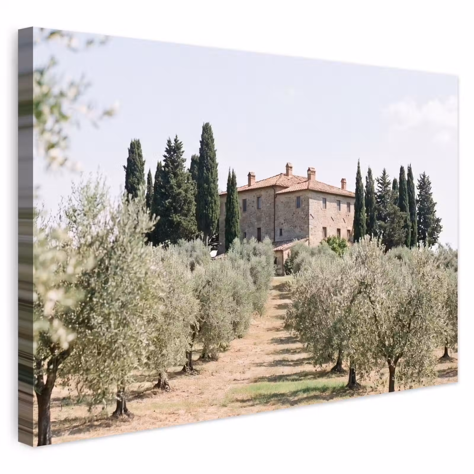 Outdoor Leinwand - Landhaus – Olivenbaum – Obstgarten - Landhuis - olijfboom - gaard Tuinposter op houten frame 2 cm dik klein