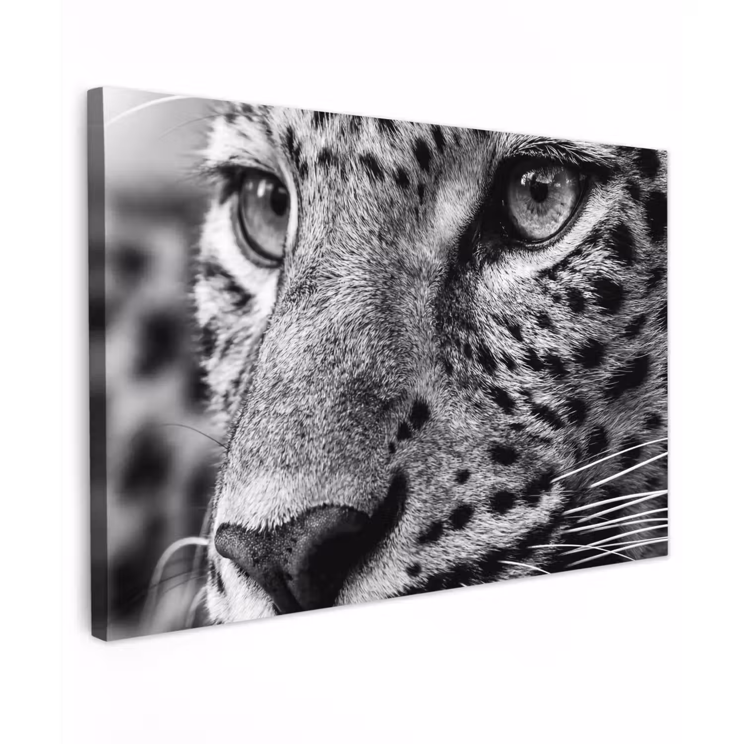 Luipaard - Zwart - Wit - Oog Tuinposter op houten frame 2 cm dik klein -3d