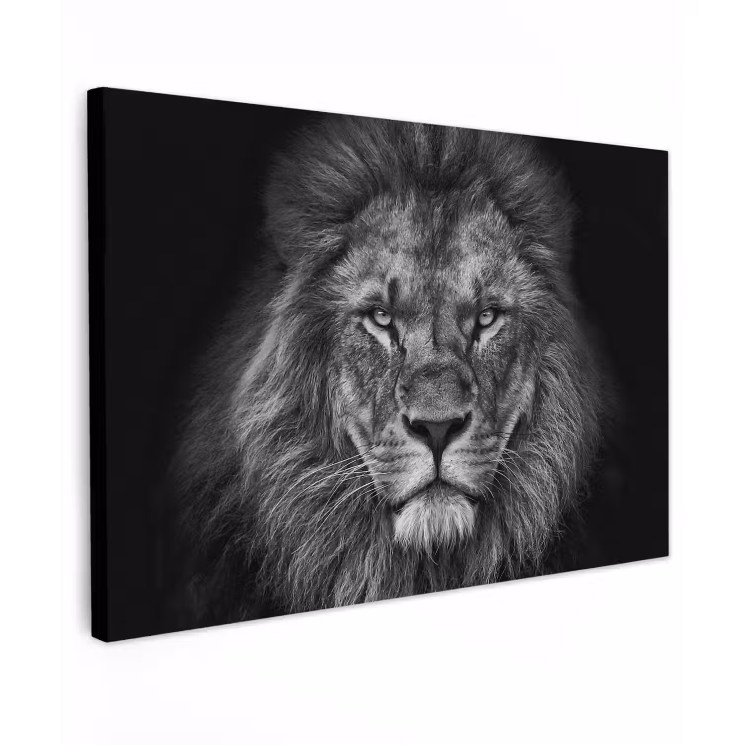Leeuw - Dieren - Zwart - Wit Tuinposter op houten frame 2 cm dik klein -3d