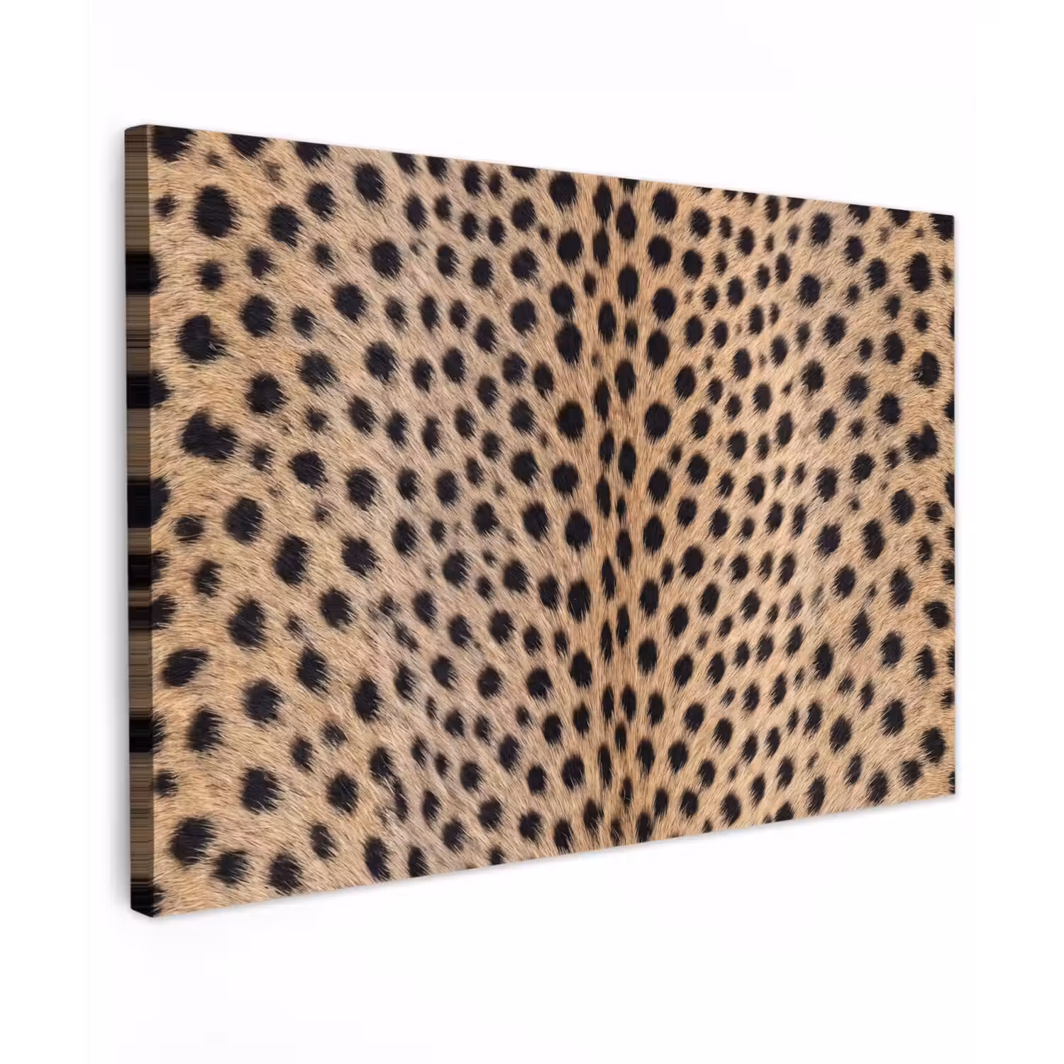 Vacht - Jachtluipaard - Zwart - Wit Tuinposter op houten frame 2 cm dik klein -3d