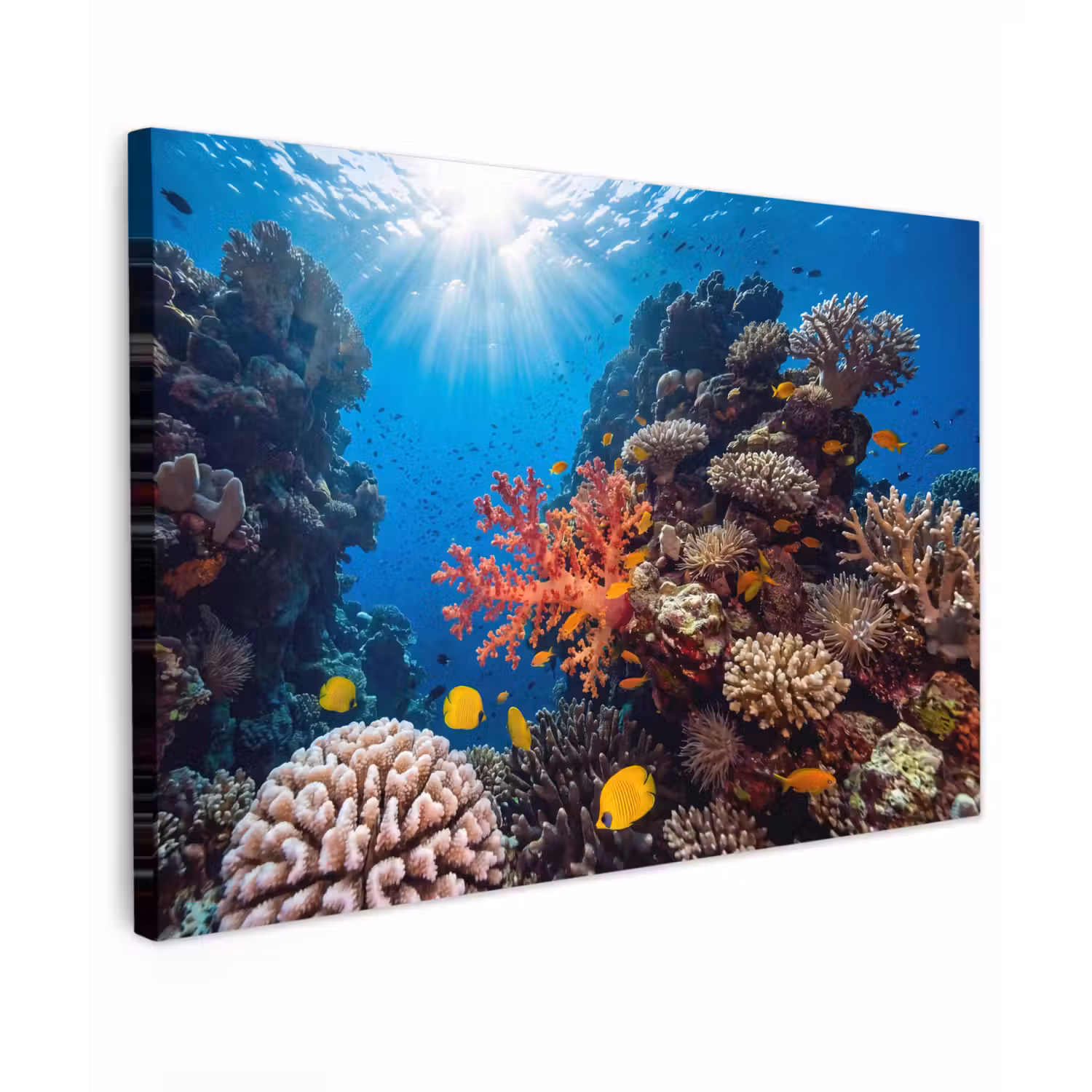 Zee - Koraalrif - Natuur - Levendig - Blauw Tuinposter op houten frame 2 cm dik klein -3d