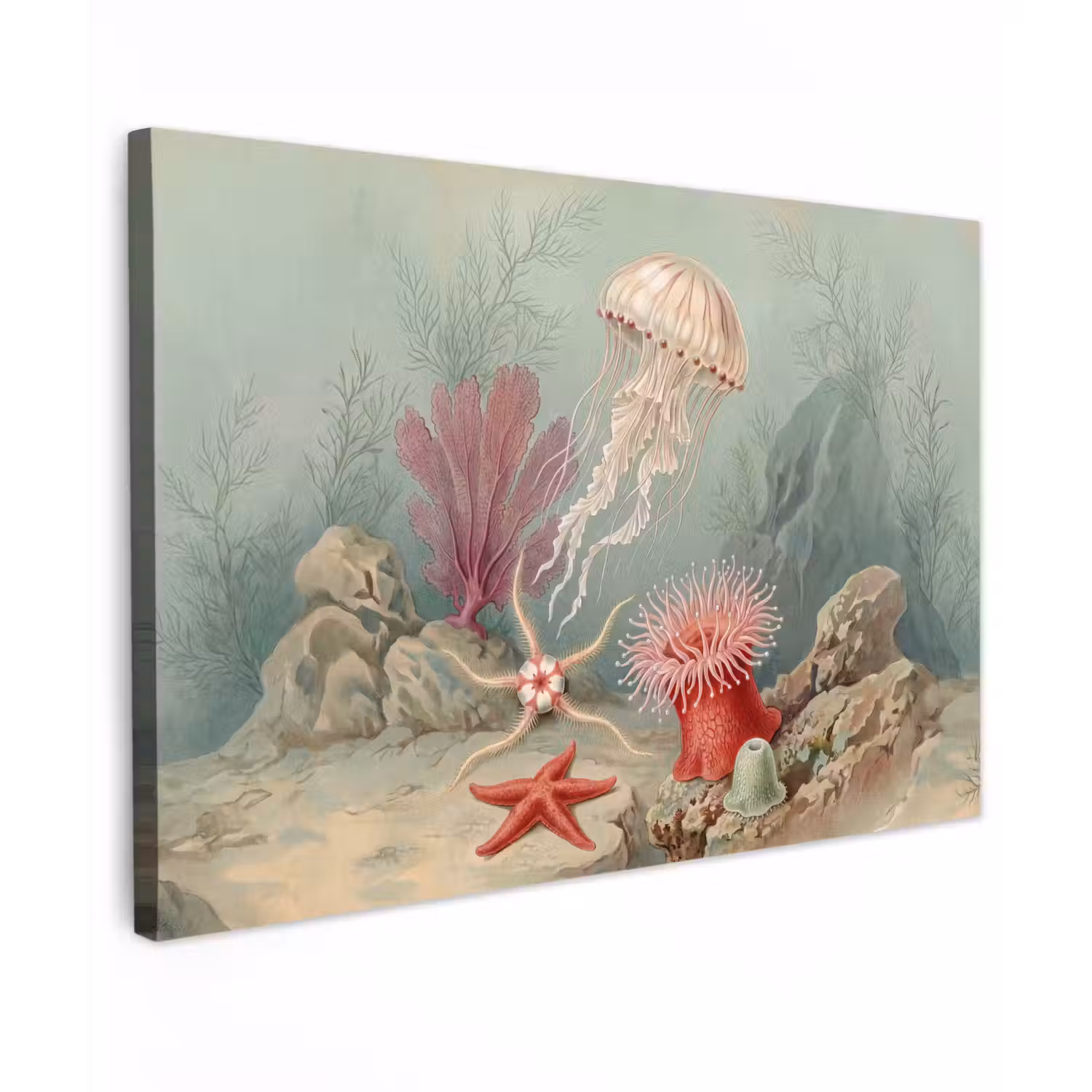 Zeeleven - Kwal - Onderwater - Illustratie - Beige Tuinposter op houten frame 2 cm dik klein -3d