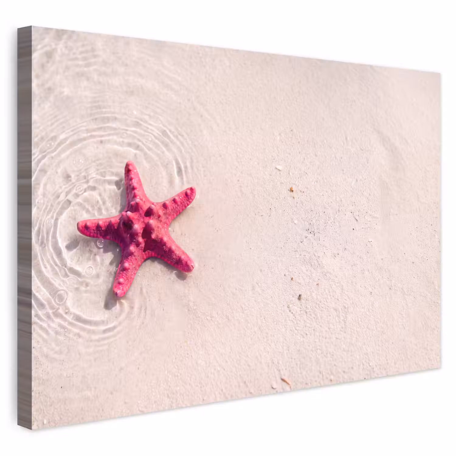 Zeeleven - Zeester - Strand - Roze - Water Tuinposter op houten frame 2 cm dik klein -3d