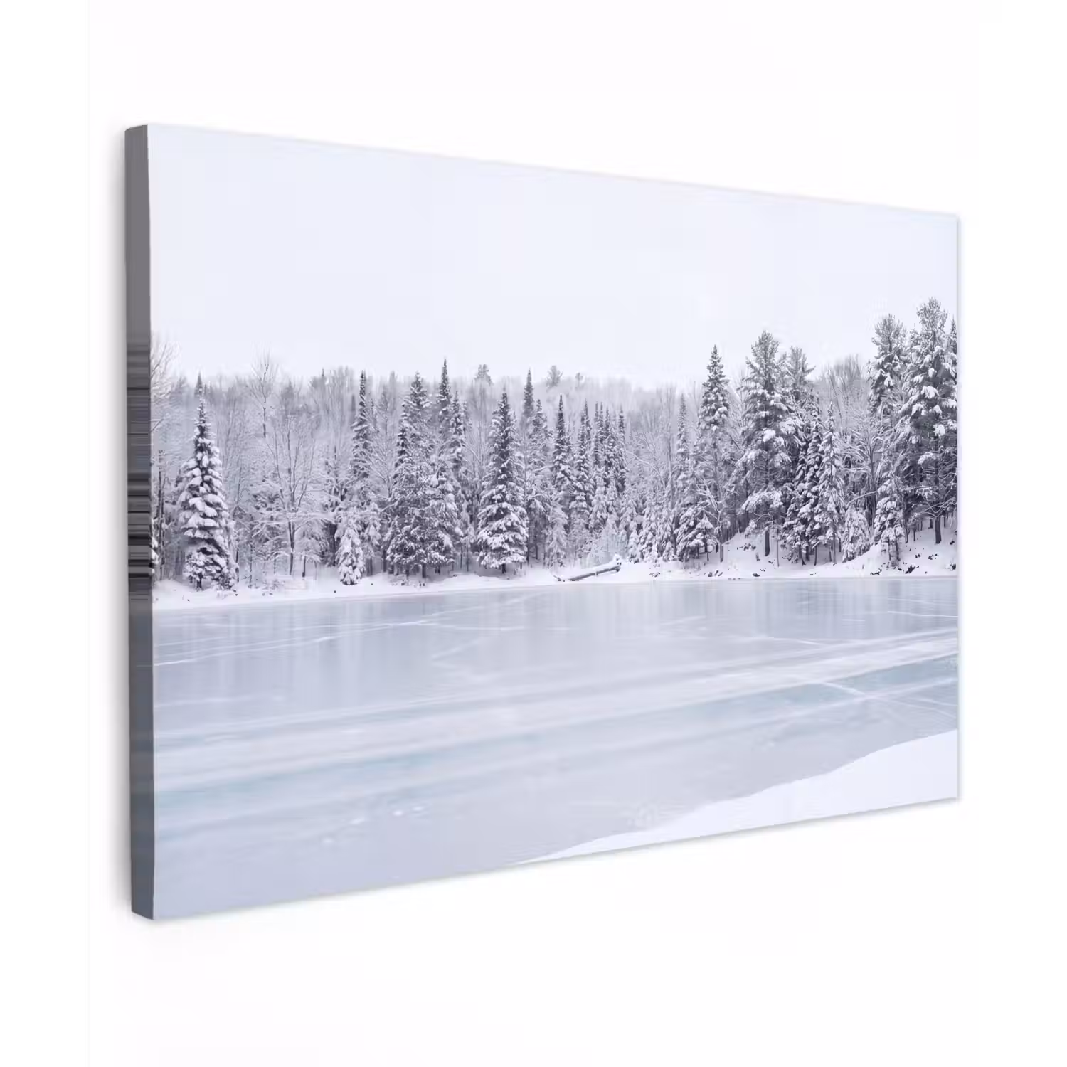 Meer - Dennen - IJs - Winter - Rustgevend Tuinposter op houten frame 2 cm dik klein -3d