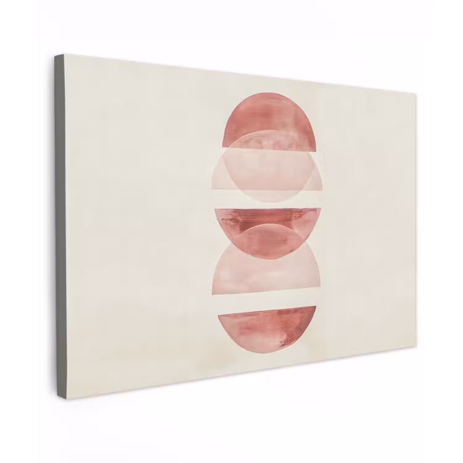 Minimalistisch - Cirkels - Roze Tuinposter op houten frame 2 cm dik klein -3d