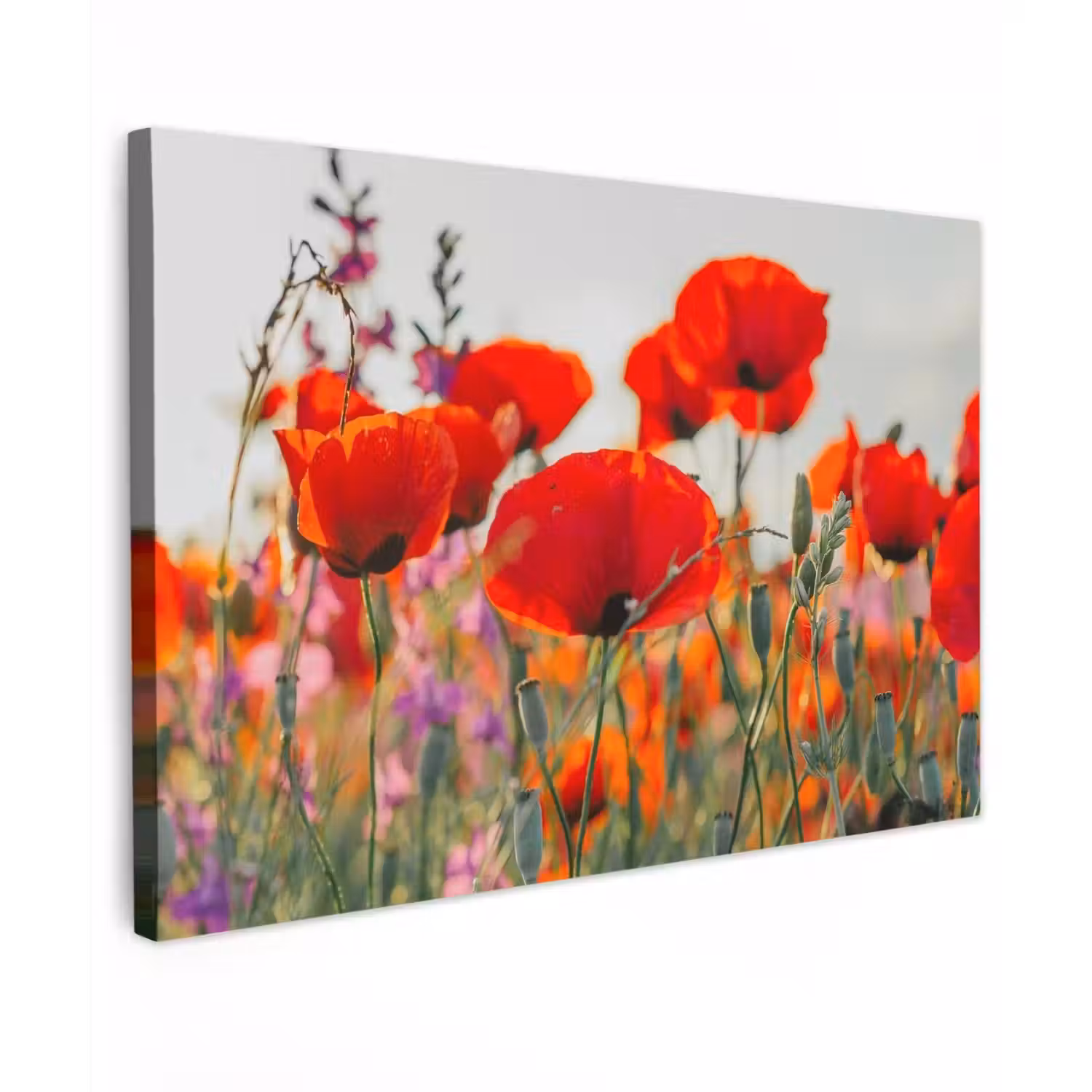Bloeipracht van Klaprozen Tuinposter op houten frame 2 cm dik klein -3d