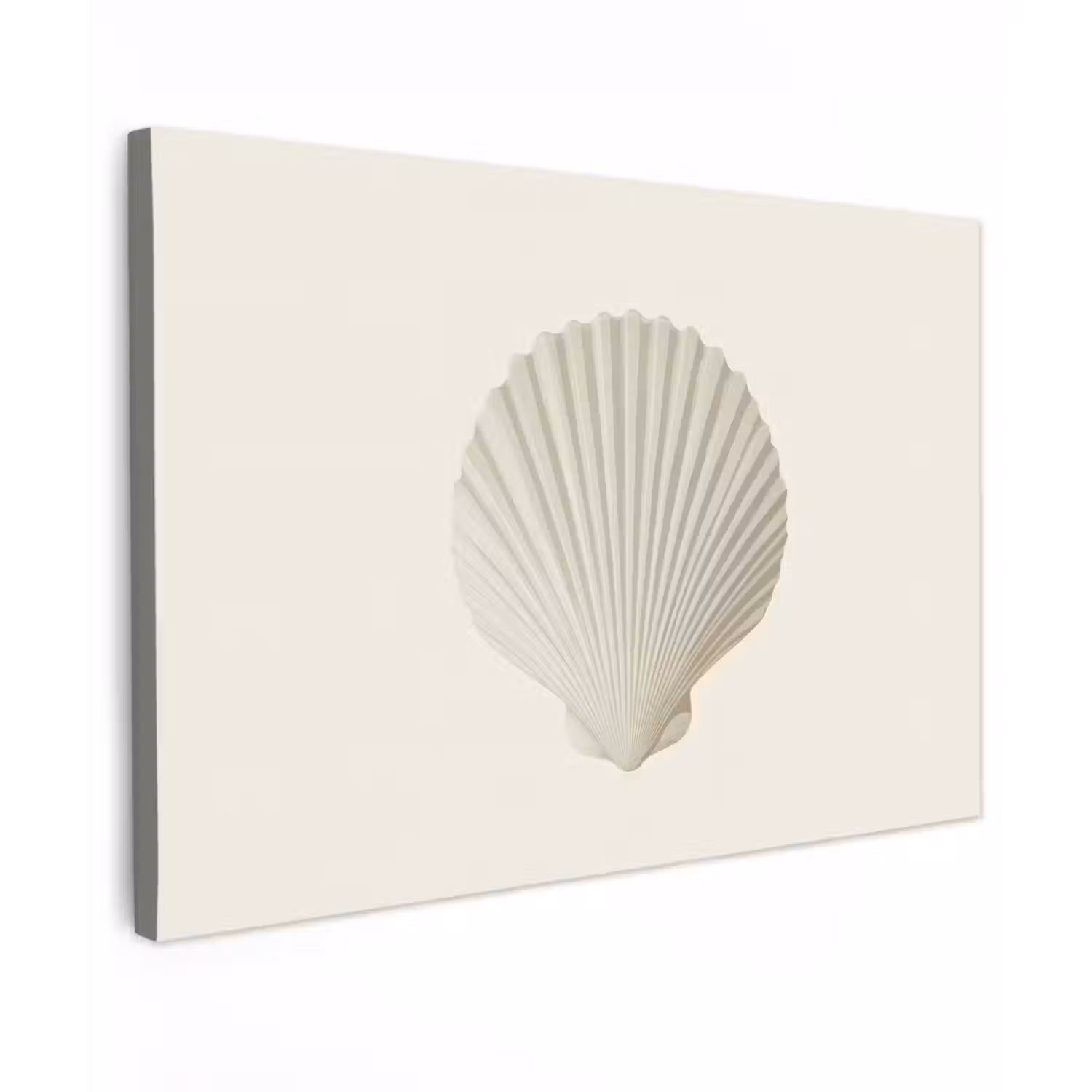 Schelp - Minimalistisch - Wit Tuinposter op houten frame 2 cm dik klein -3d