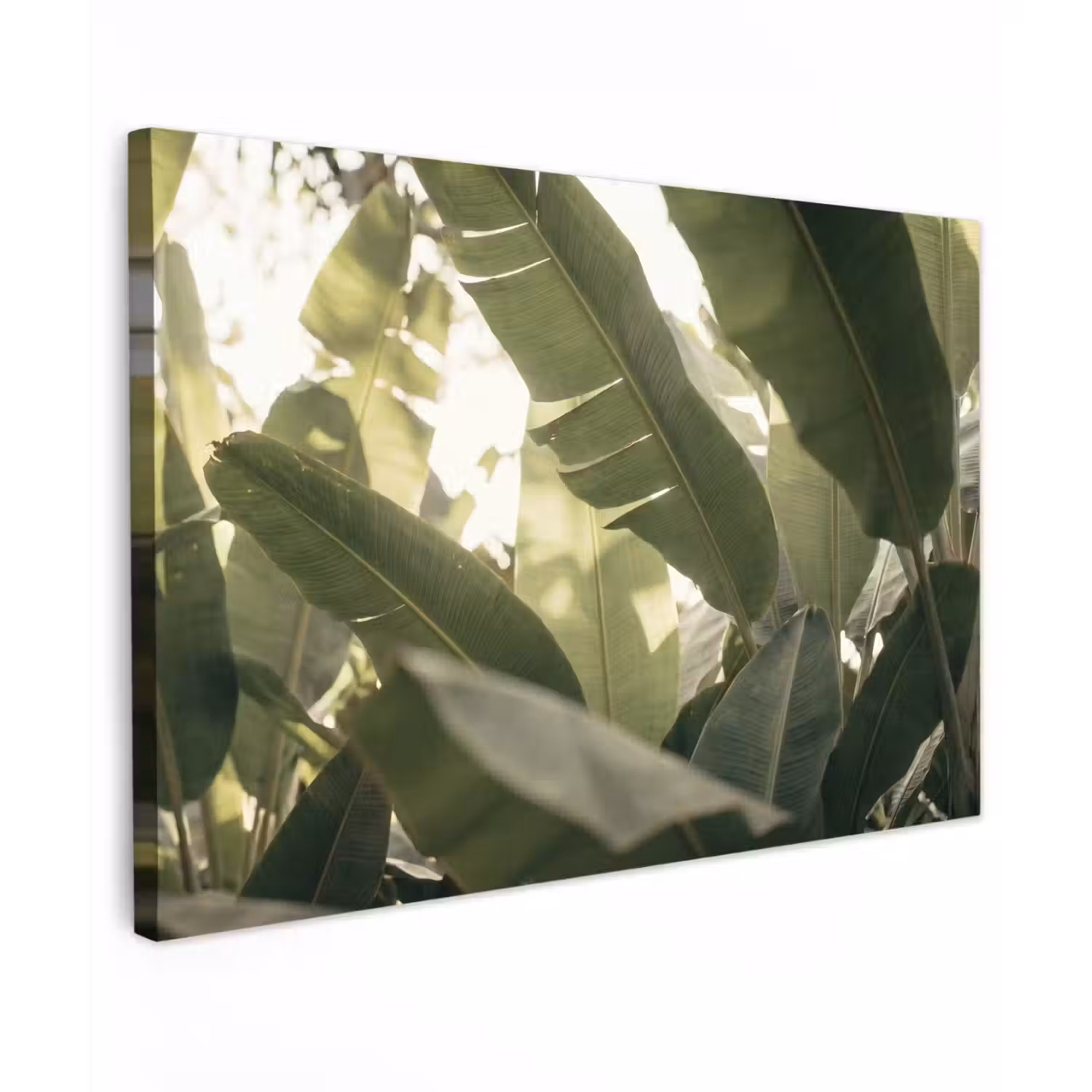 Natuur - Bladeren - Groen - Tropisch - Detail Tuinposter op houten frame 2 cm dik klein -3d