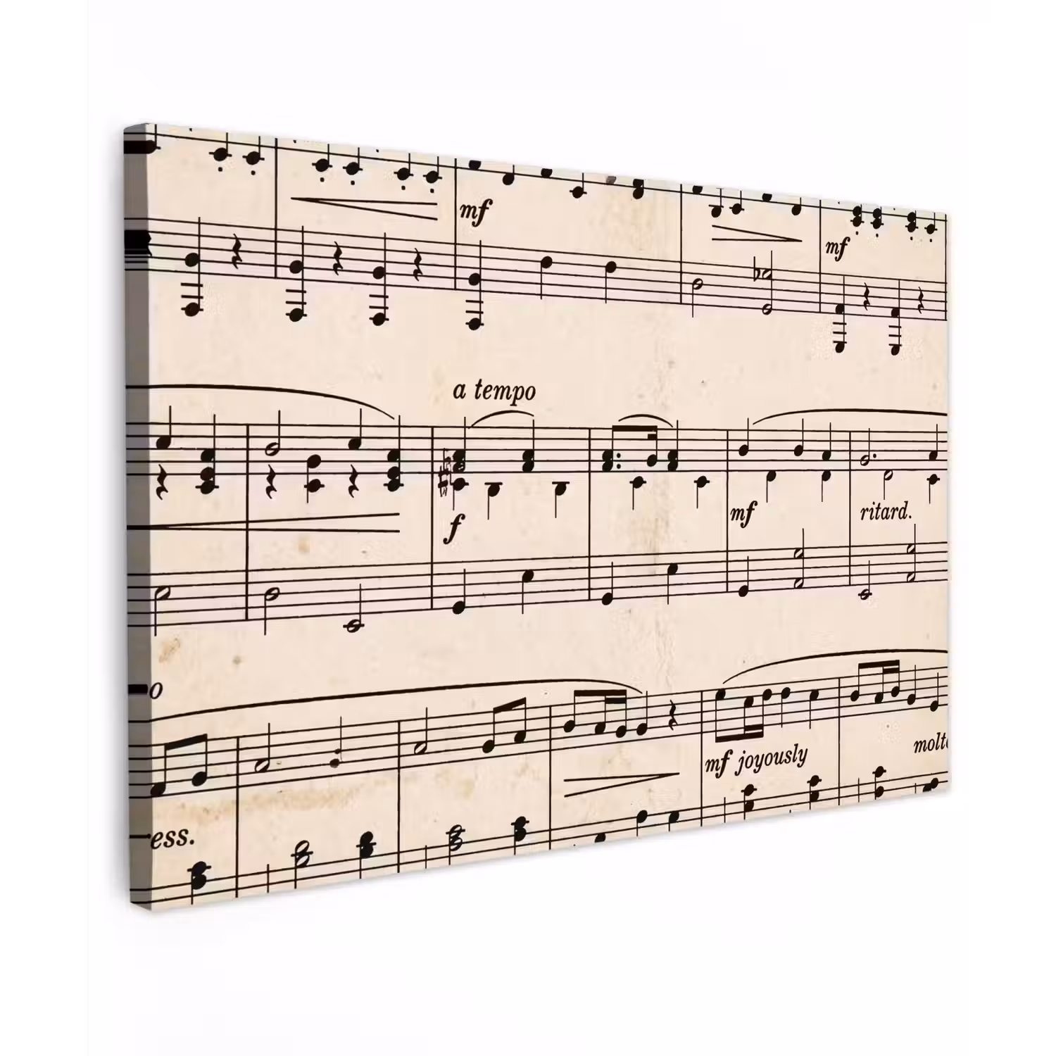 Muzieknotatie - Notenbalken - Kunst - Klassiek - Beige Tuinposter op houten frame 2 cm dik klein -3d