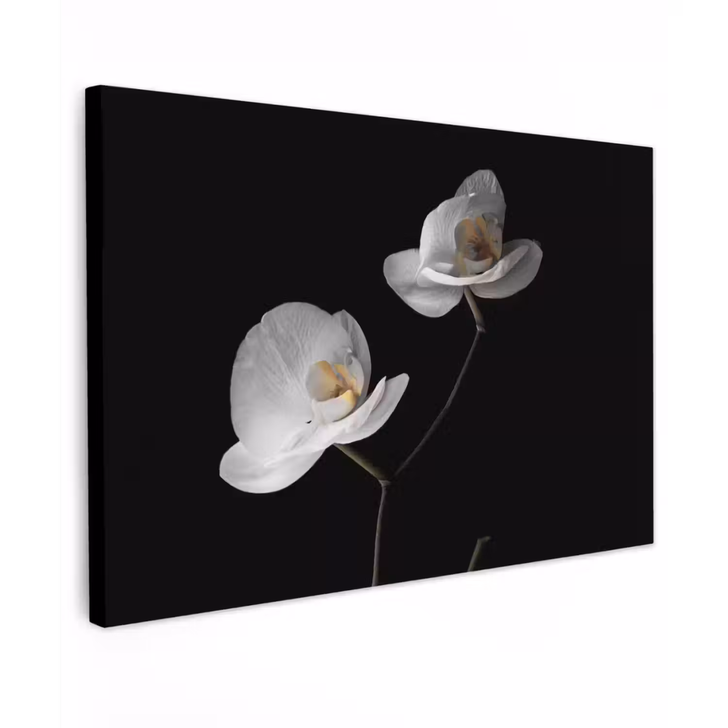 Orchidee - Bloemen - Zwart - Wit - Stilleven Tuinposter op houten frame 2 cm dik klein -3d