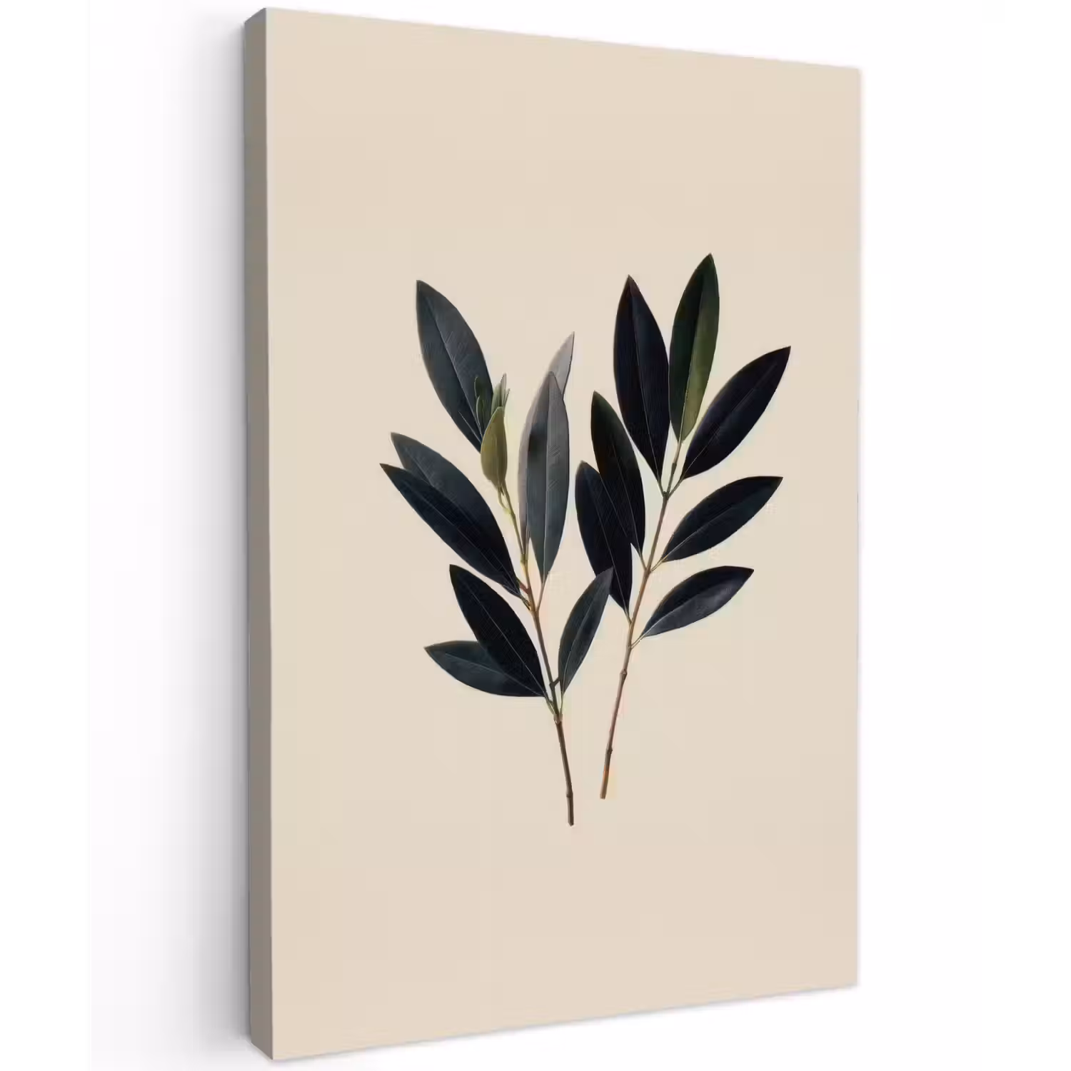 Ovaalvormige bladeren - Diep groen - Symmetrisch Tuinposter op houten frame 2 cm dik klein -3d