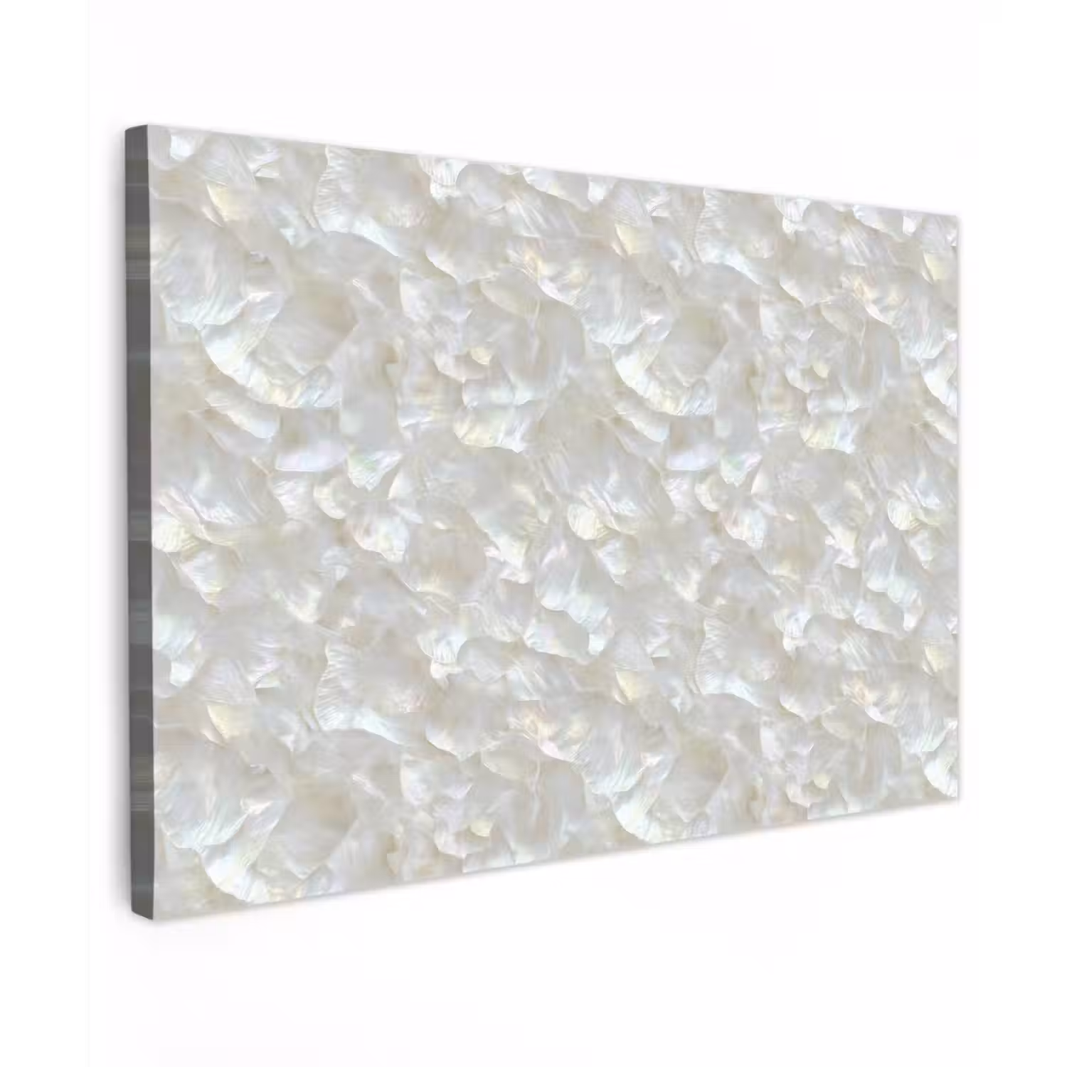 Parelmoerglans - Wit - Schelp Tuinposter op houten frame 2 cm dik klein 845 -3d