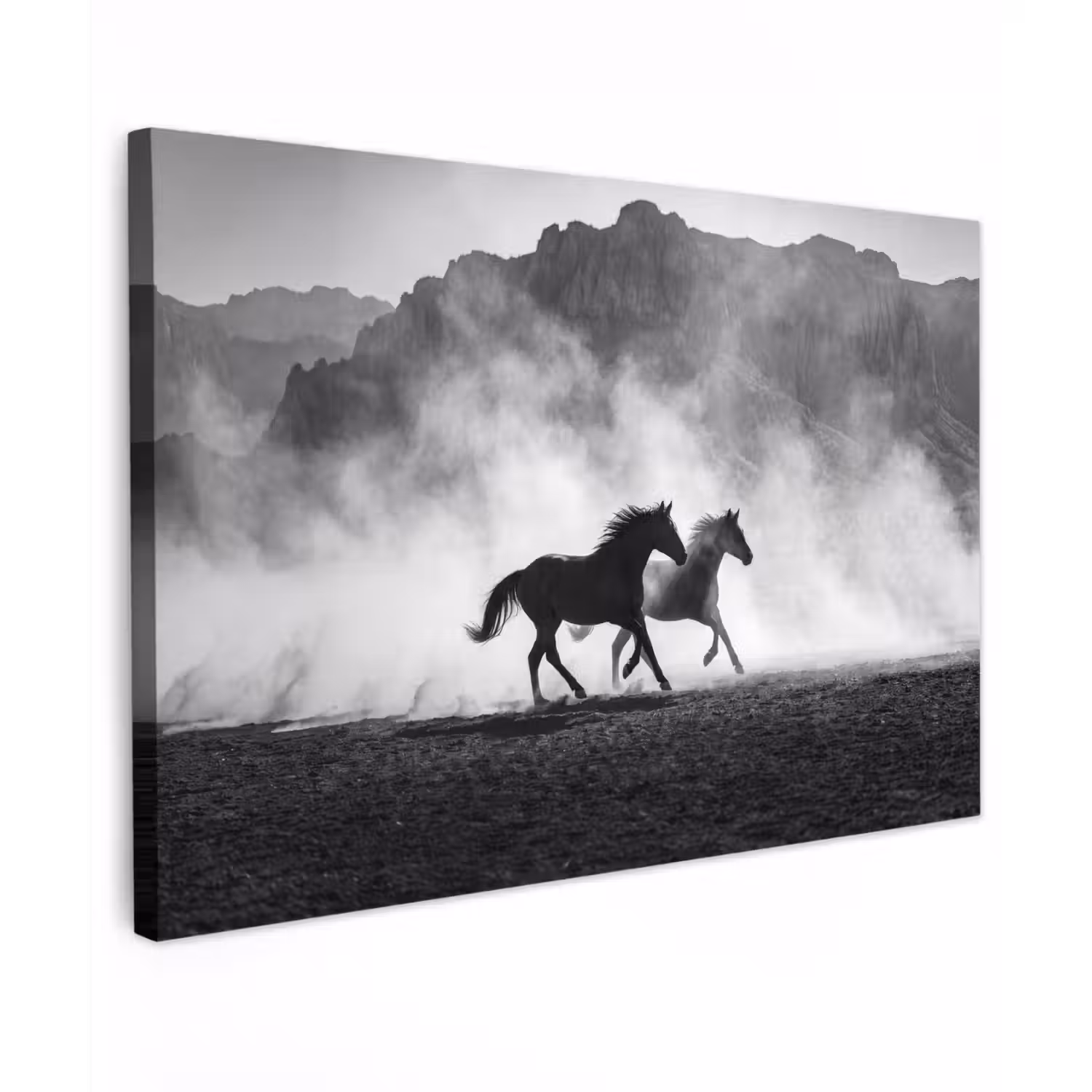 Paard - Ren - Stof - Zwart-wit - Dieren Tuinposter op houten frame 2 cm dik klein -3d