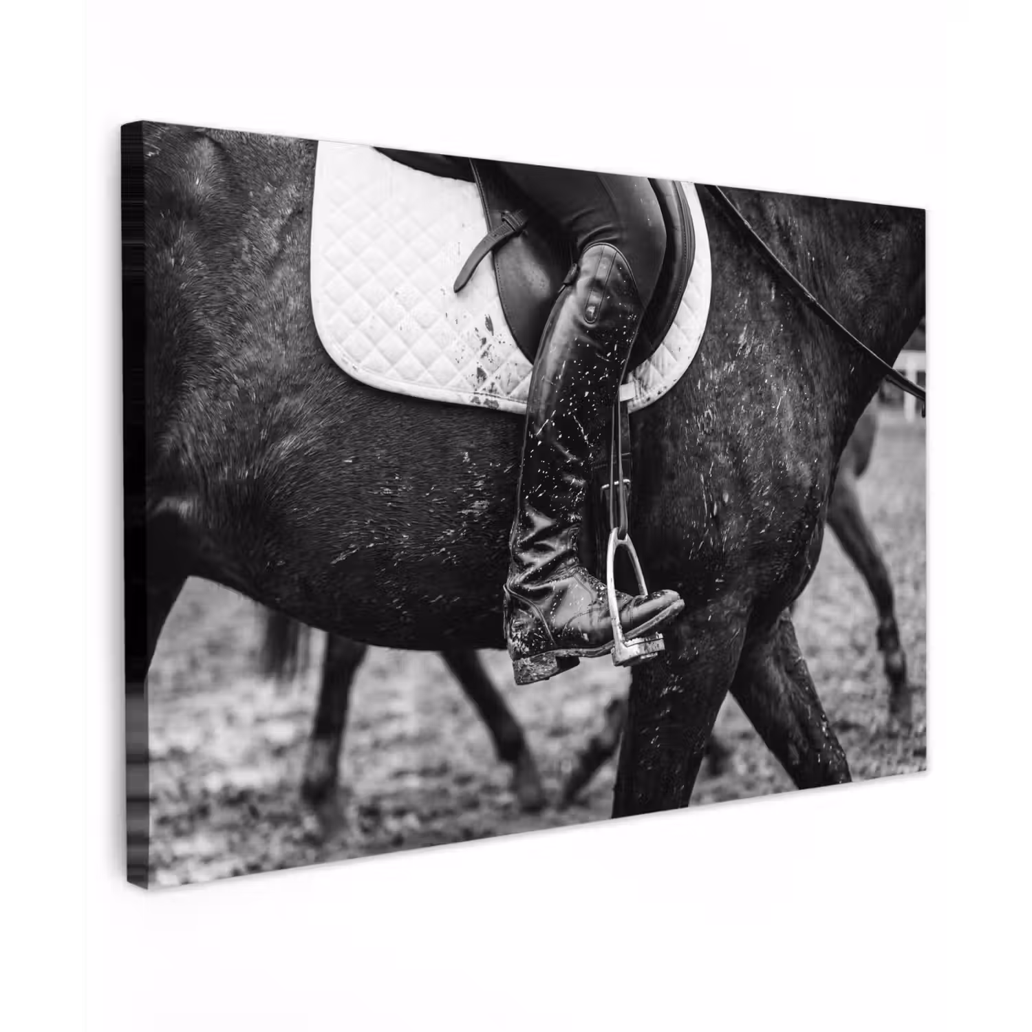 Paard - Sport - Zwart - Wit Tuinposter op houten frame 2 cm dik klein -3d