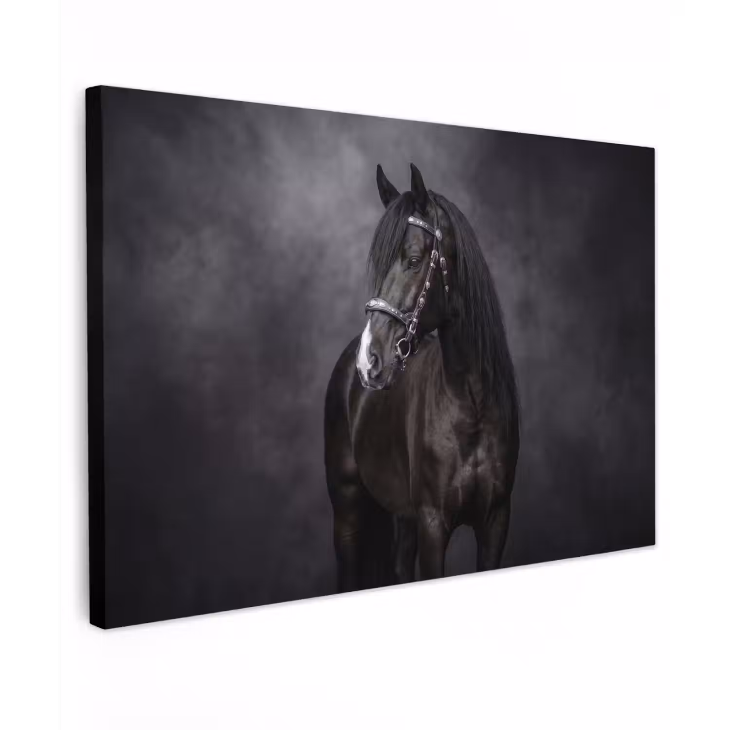 Portret - Paard - Zwart Tuinposter op houten frame 2 cm dik klein -3d