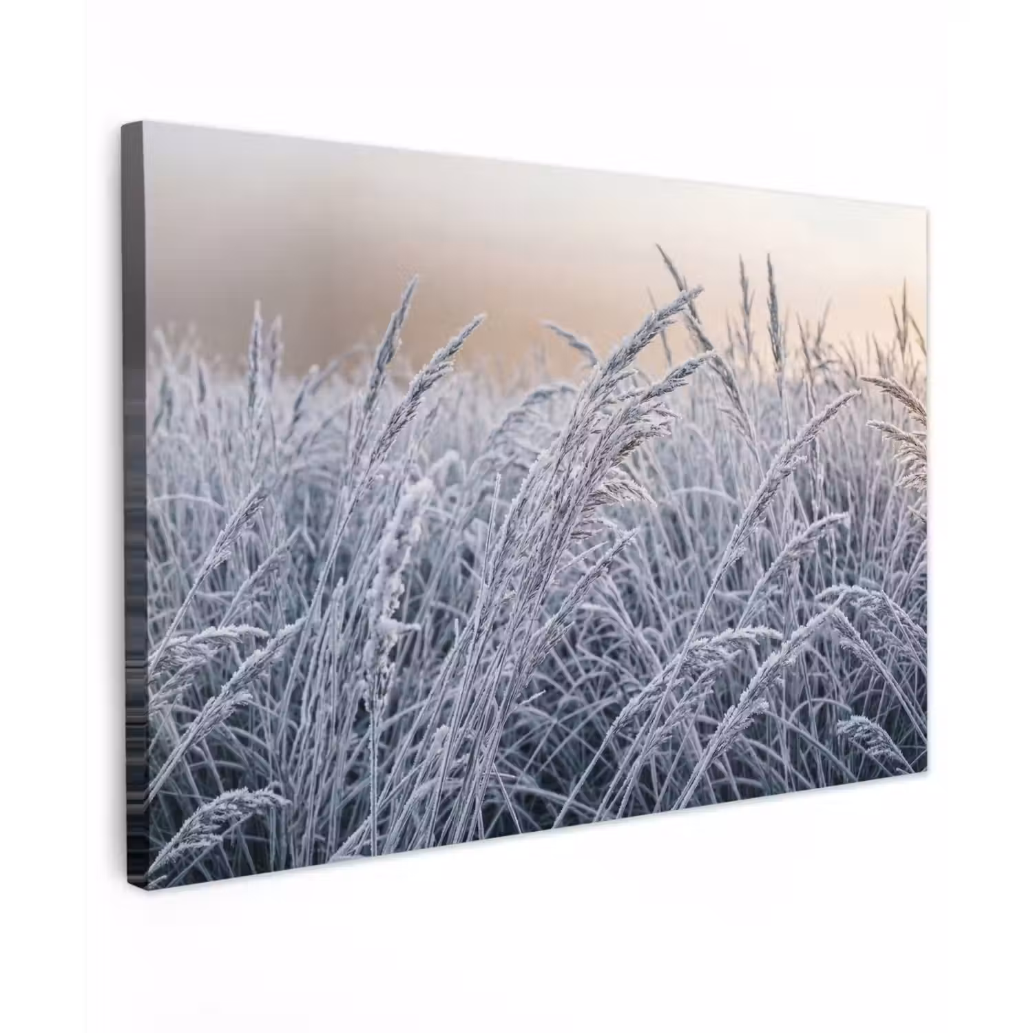 Rijp - Gras - Kristallen - Winter - Minimalistisch Tuinposter op houten frame 2 cm dik klein -3d