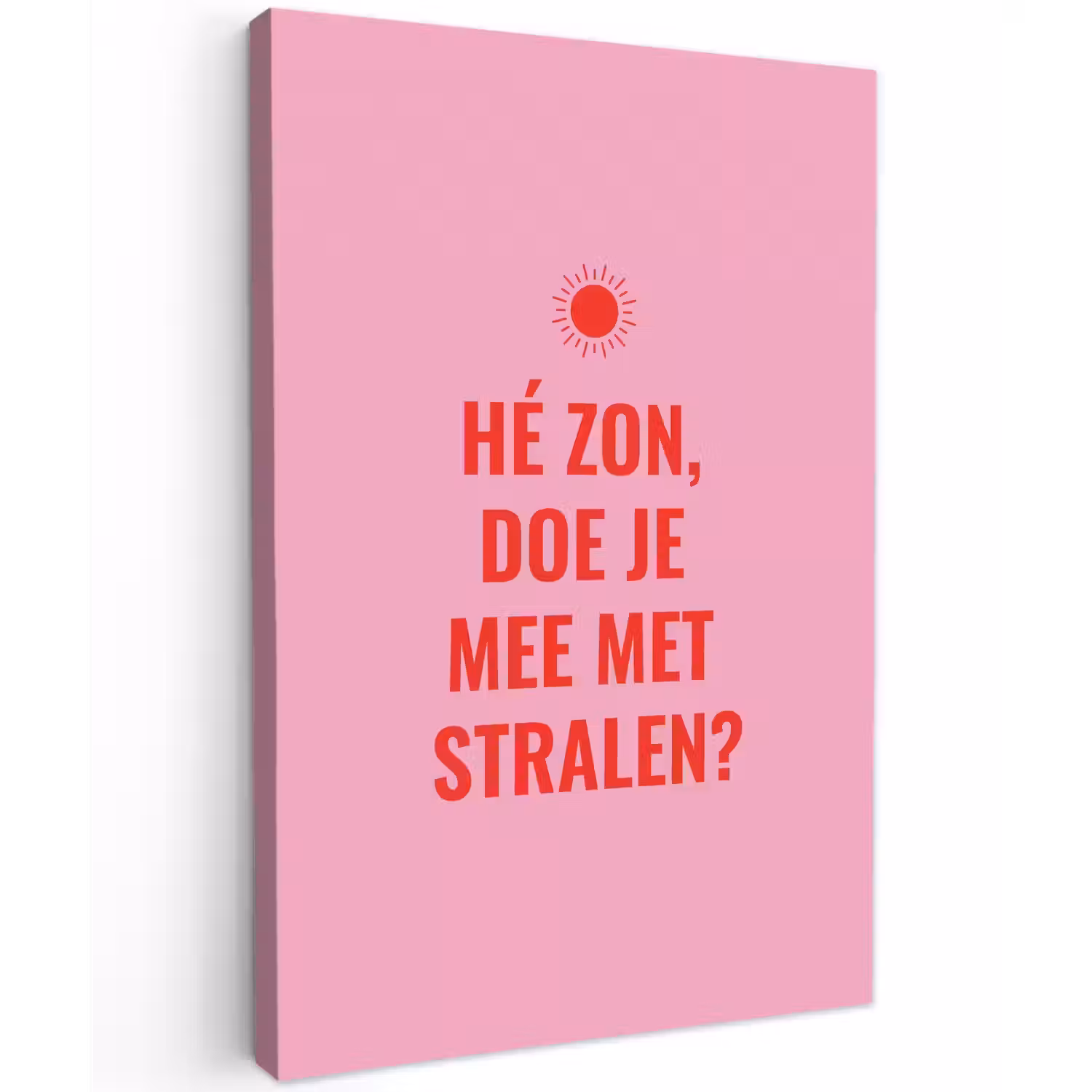 Roze - Zon - Quote Tuinposter op houten frame 2 cm dik klein -3d