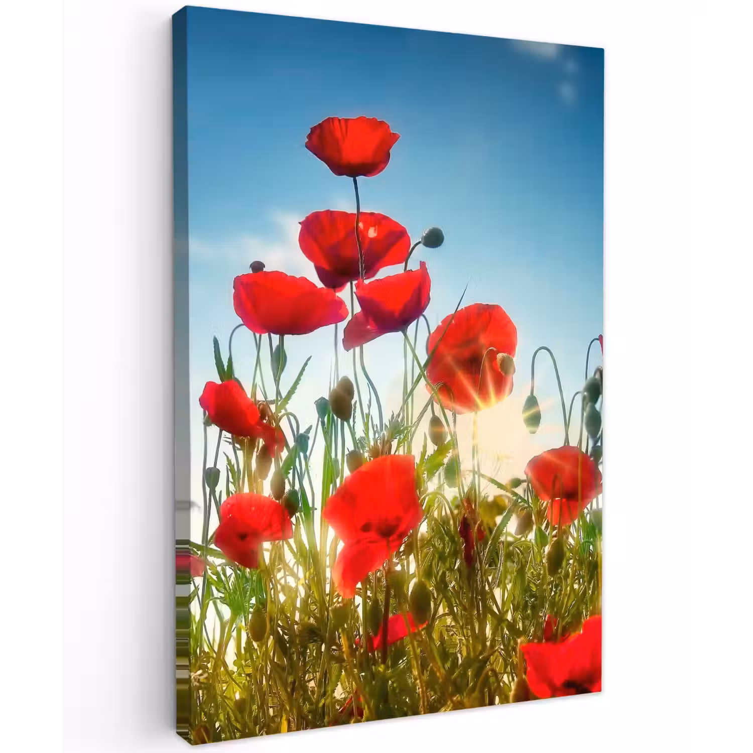 Rode klaprozen tegen de hemel Tuinposter op houten frame 2 cm dik klein -3d