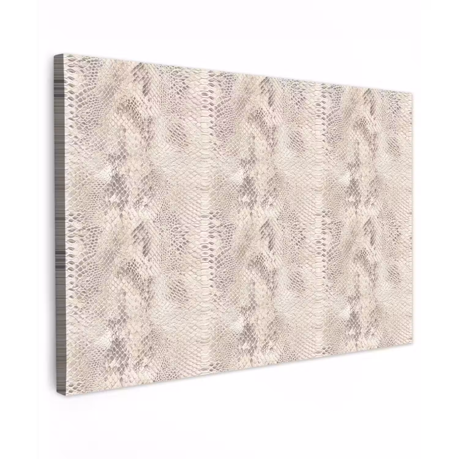 Slang - Patroon - Beige Tuinposter op houten frame 2 cm dik klein 845 -3d