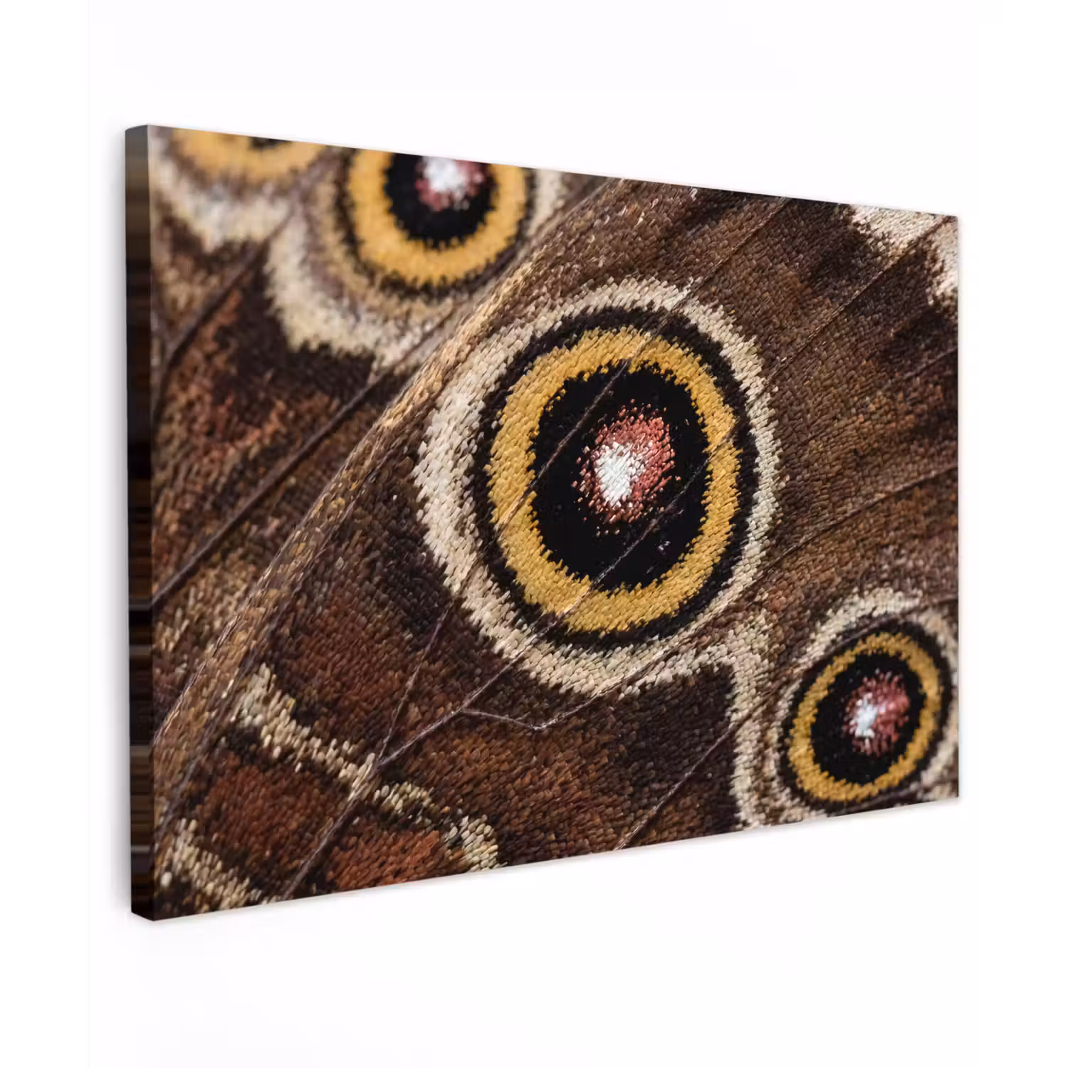 Vlinder - Vleugel - Abstract Tuinposter op houten frame 2 cm dik klein -3d