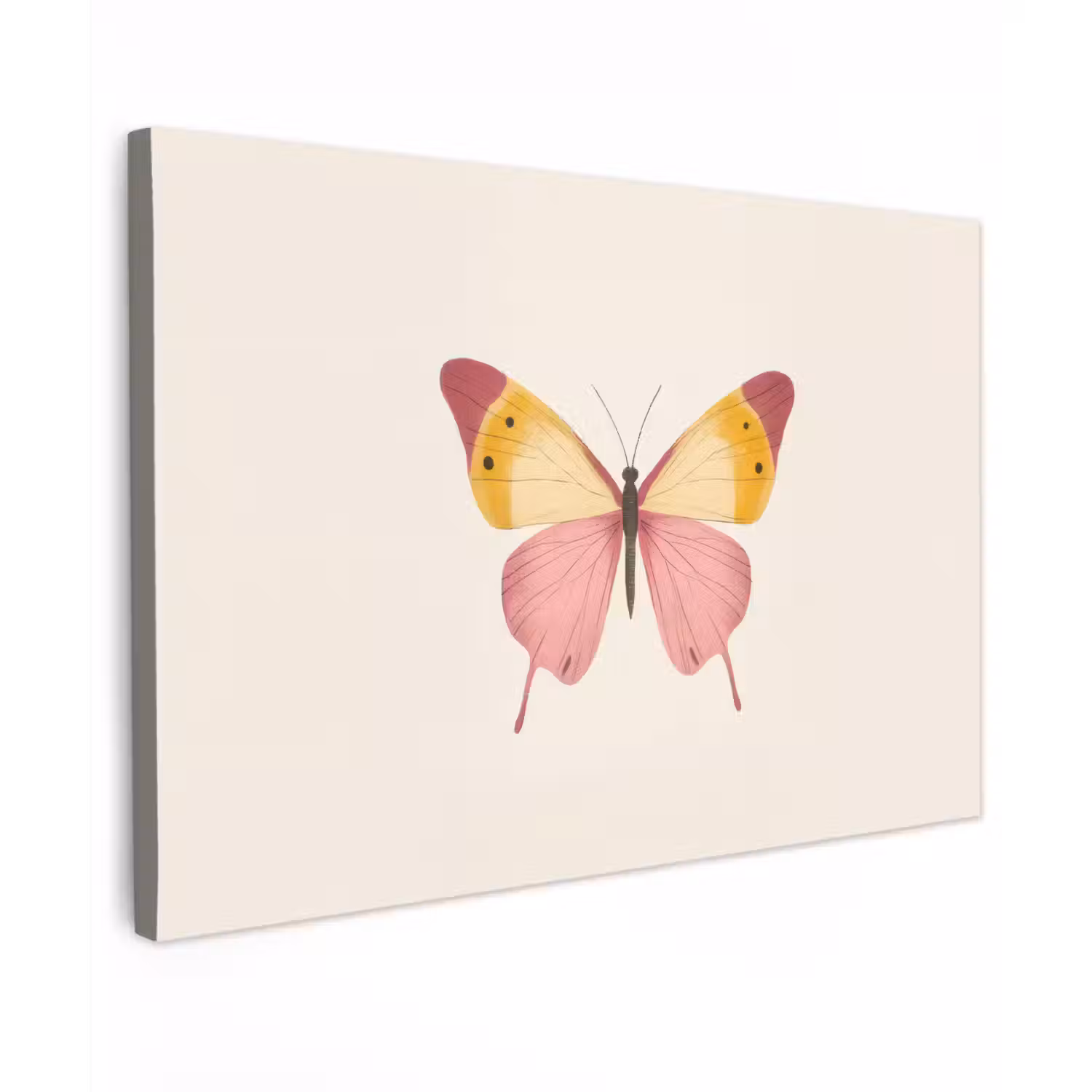 Vlinder - Illustratie - Roze Tuinposter op houten frame 2 cm dik klein -3d