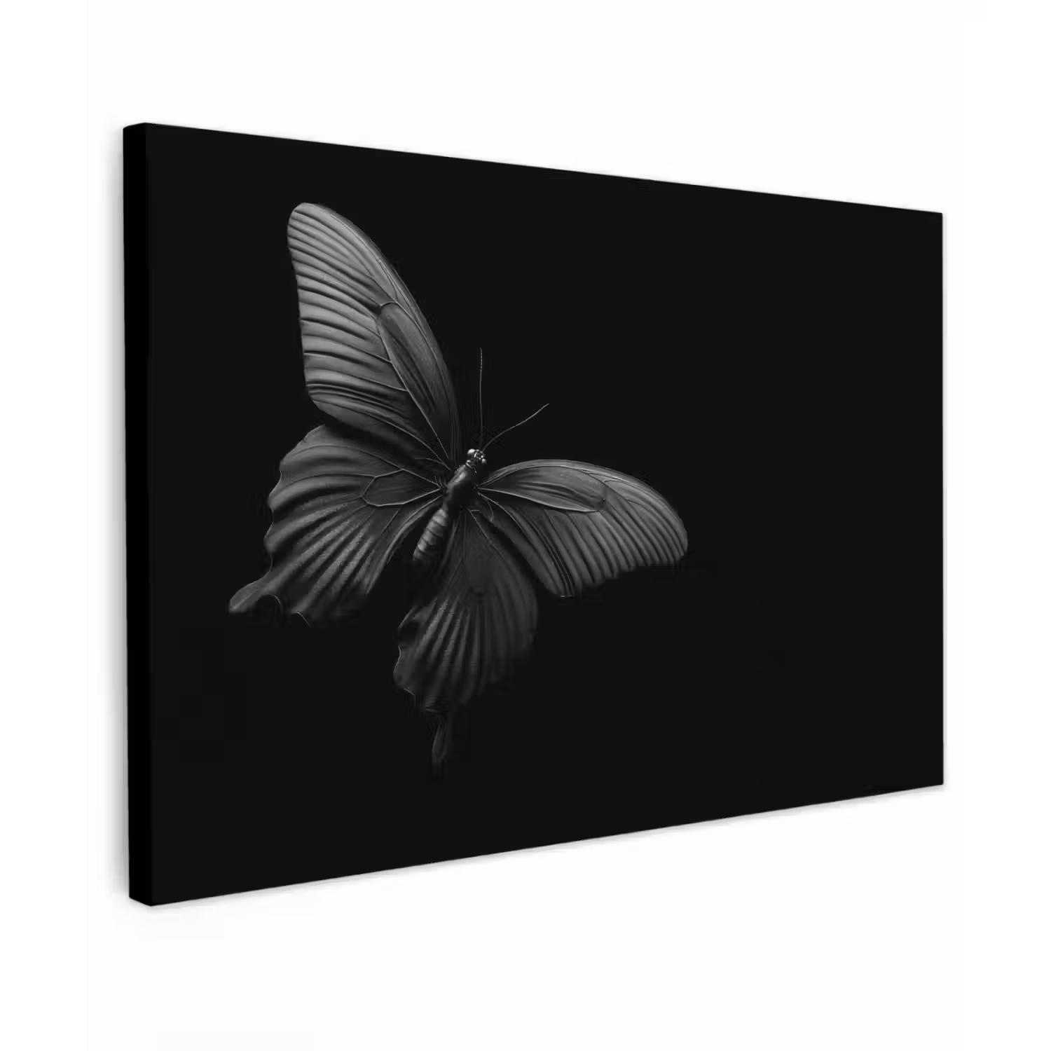 Vlinder - Zwart - Insect - Dieren Tuinposter op houten frame 2 cm dik klein -3d