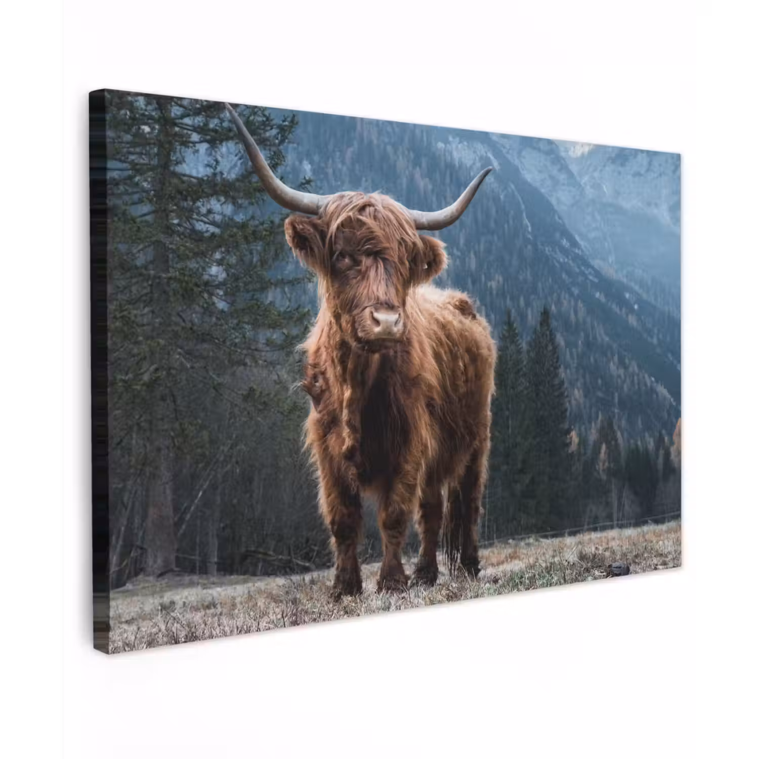 Schotse hooglander - Berg - Landschap - Bomen - Koe - Natuur Tuinposter op houten frame 2 cm dik klein -3d