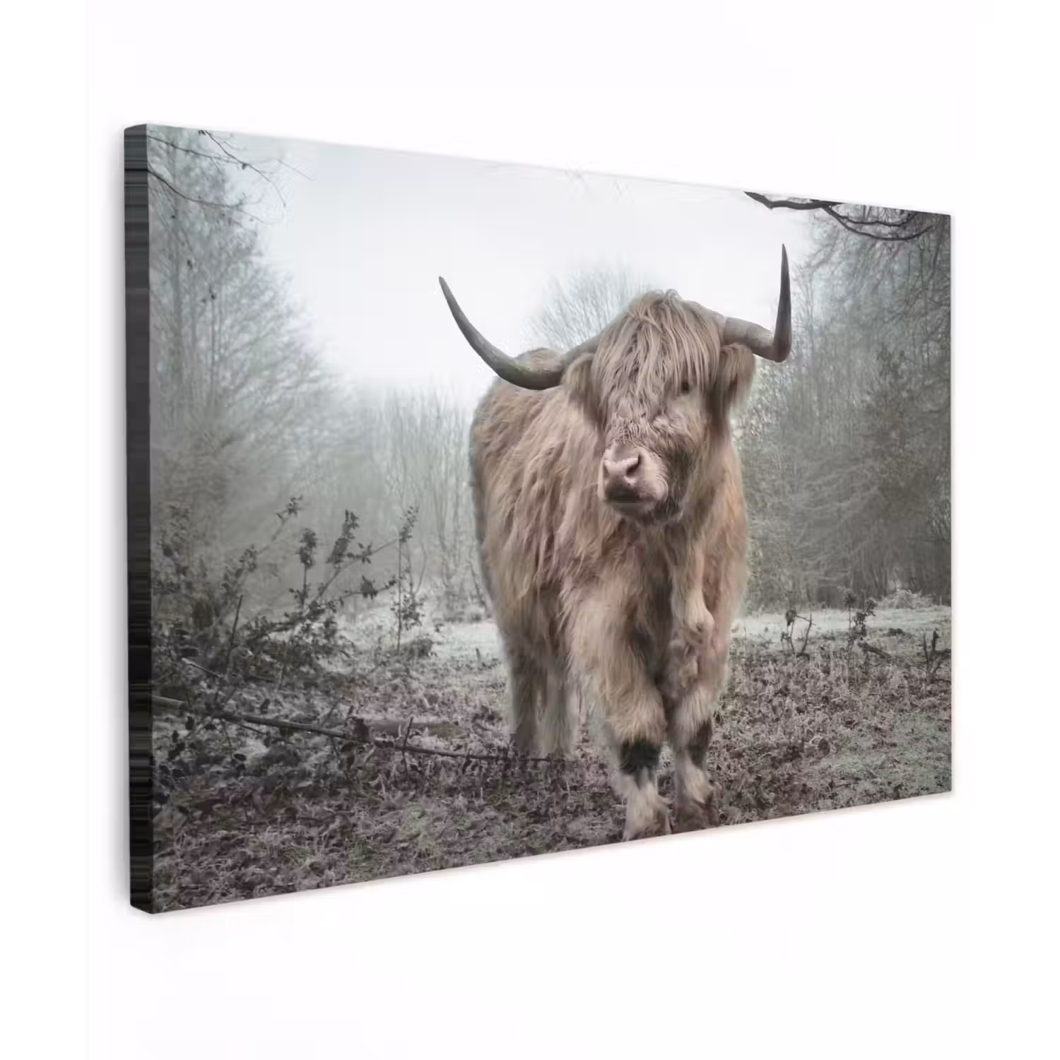 Schotse hooglander - Natuur - Herfst - Dieren - Wild - Bos Tuinposter op houten frame 2 cm dik klein -3d