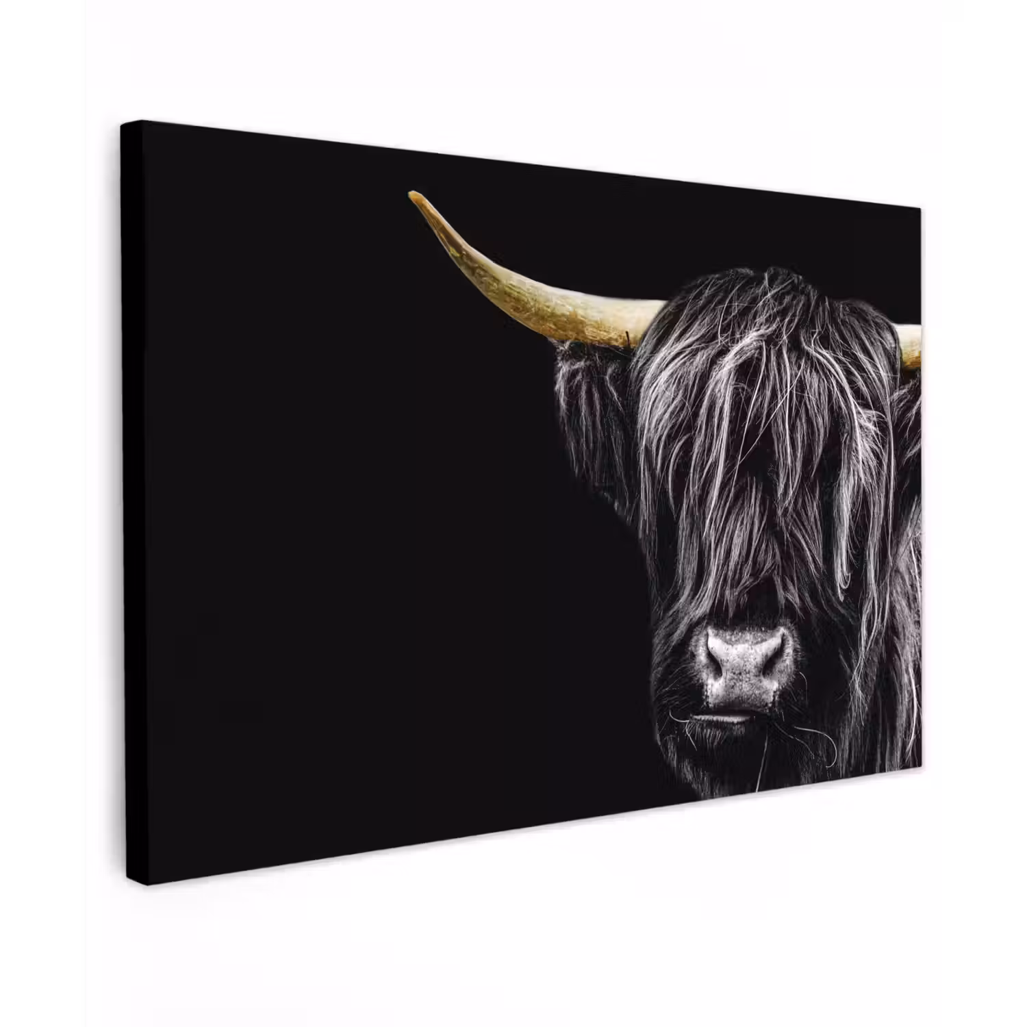 Schotse hooglander - Goud - Vacht - Dieren - Koe Tuinposter op houten frame 2 cm dik klein -3d