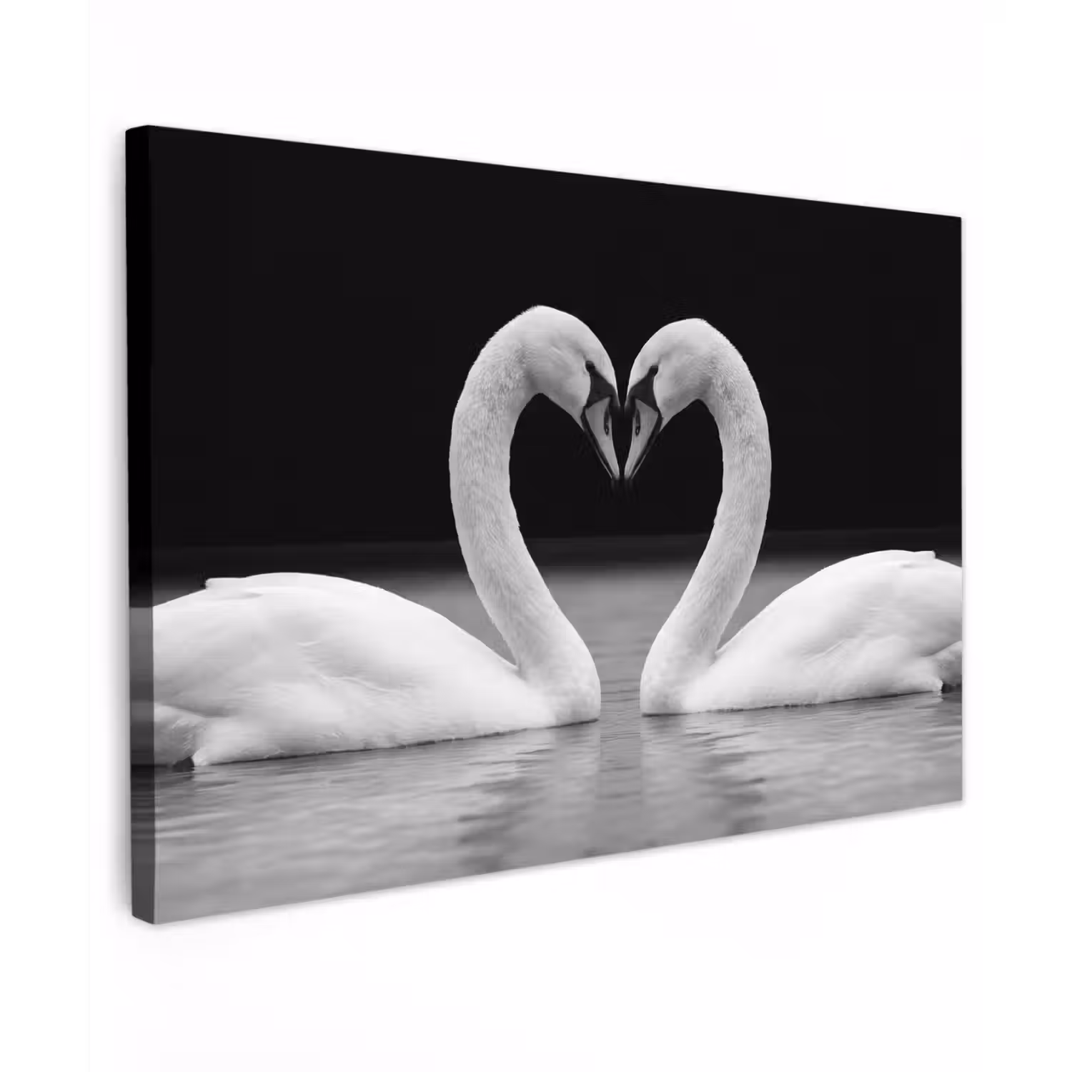 Zwanen - Hart - Zwart - Wit Tuinposter op houten frame 2 cm dik klein -3d