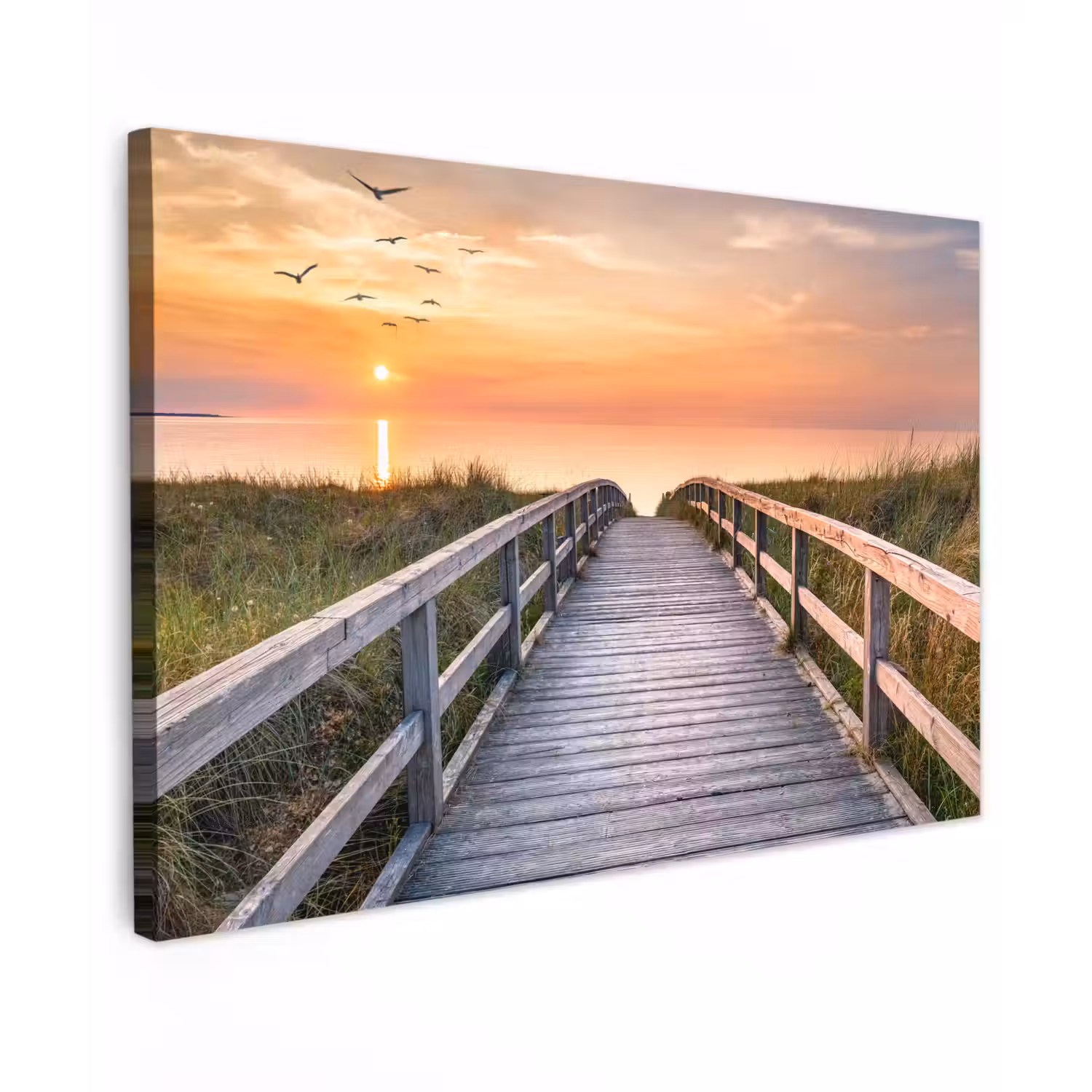 Zonsonderang - Zee - Pad - Gras - Duin - Vogels Tuinposter op houten frame 2 cm dik klein -3d