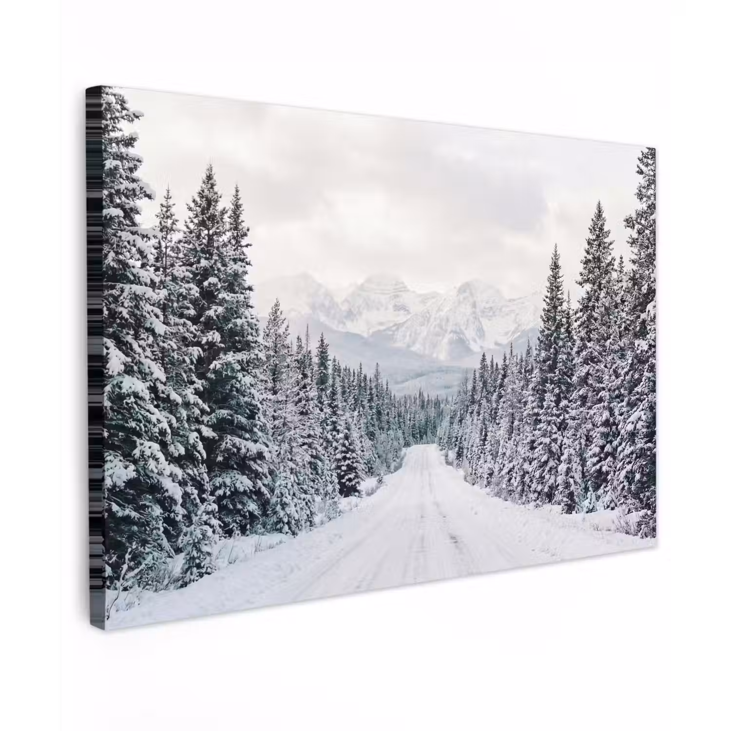 Weg - Sneeuw - Naaldbos - Winter - Avontuurlijk Tuinposter op houten frame 2 cm dik klein -3d