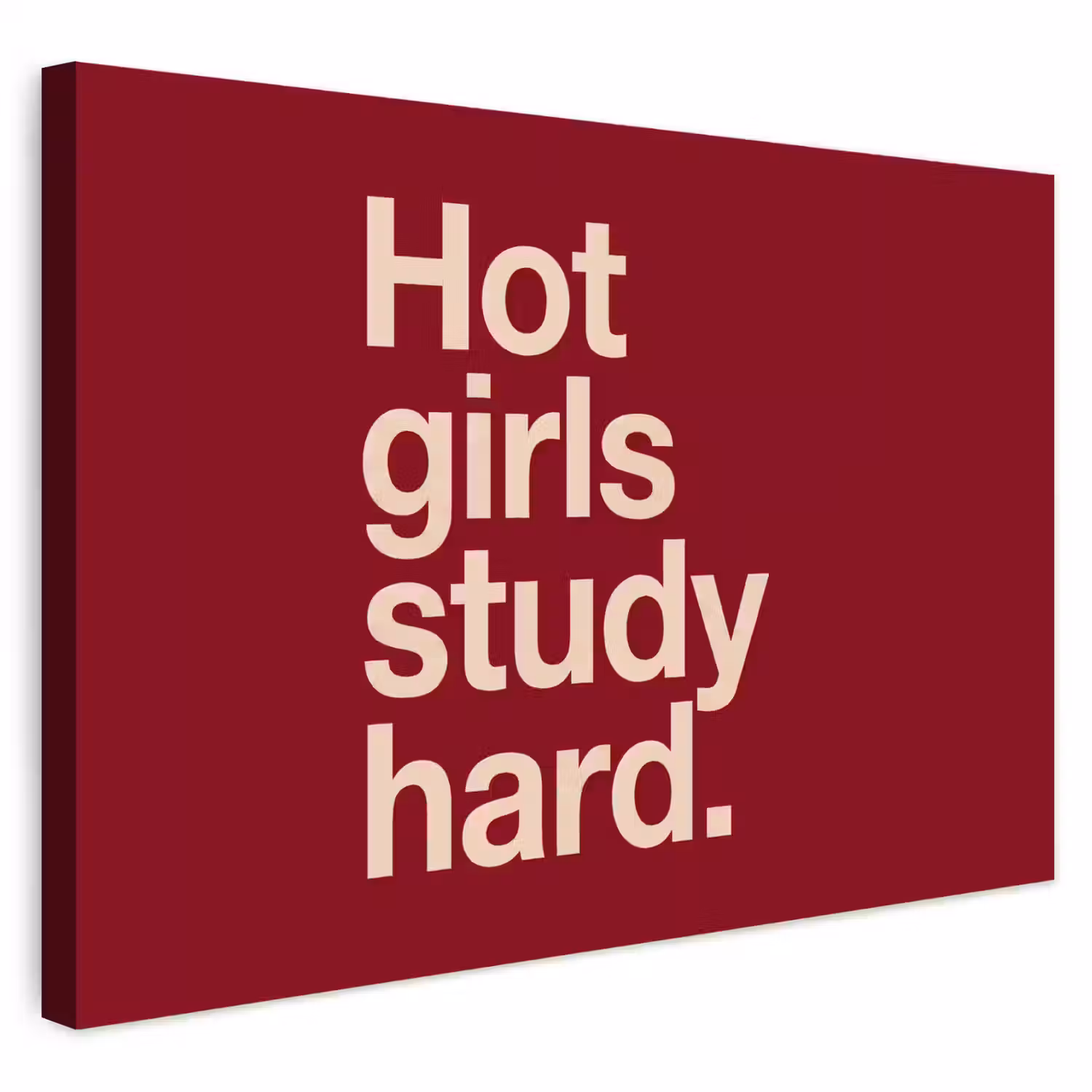 Tekst - Studie - Motivatie - Modern - Rood Tuinposter op houten frame 2 cm dik klein -3d