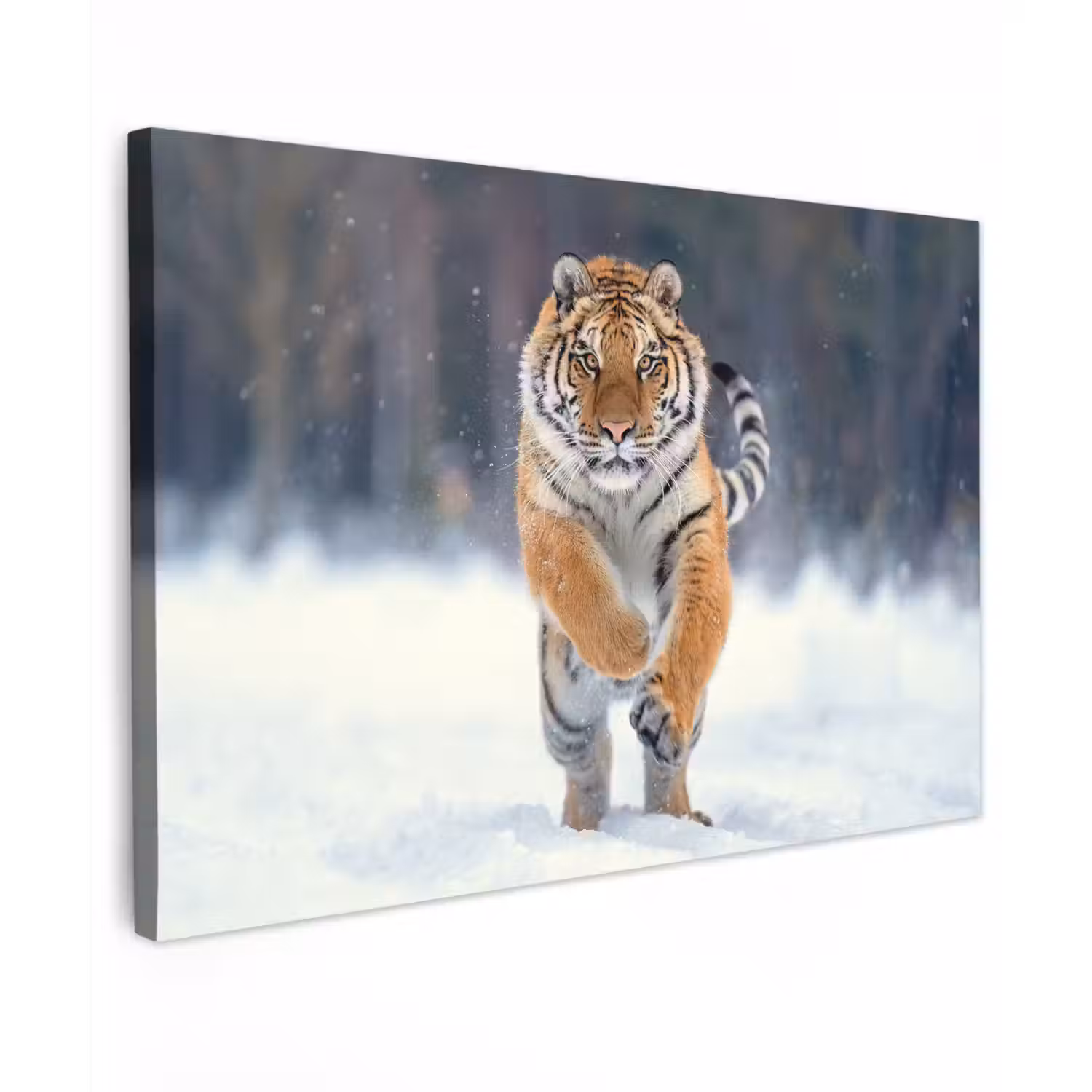 Tijger - Landschap - Sneeuw - Winter - Dieren Tuinposter op houten frame 2 cm dik klein -3d