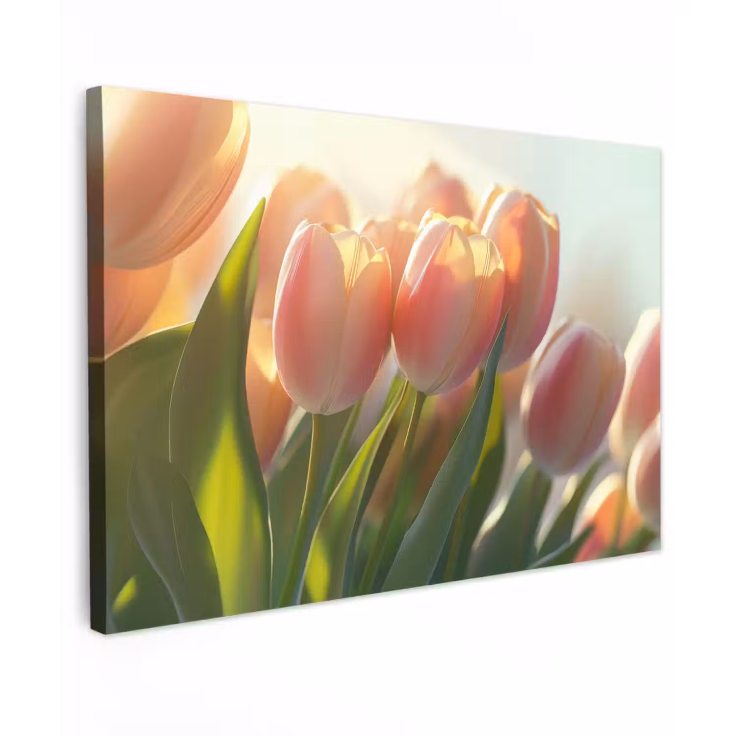 Tulpen - Roze - Zonnestralen Tuinposter op houten frame 2 cm dik klein -3d