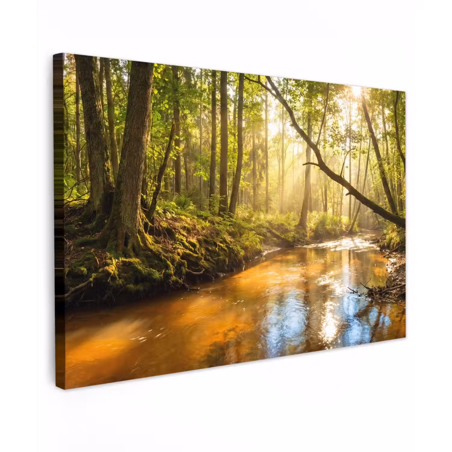 Bos - Beek - Zonlicht - Natuur - Groen Tuinposter op houten frame 2 cm dik klein -3d