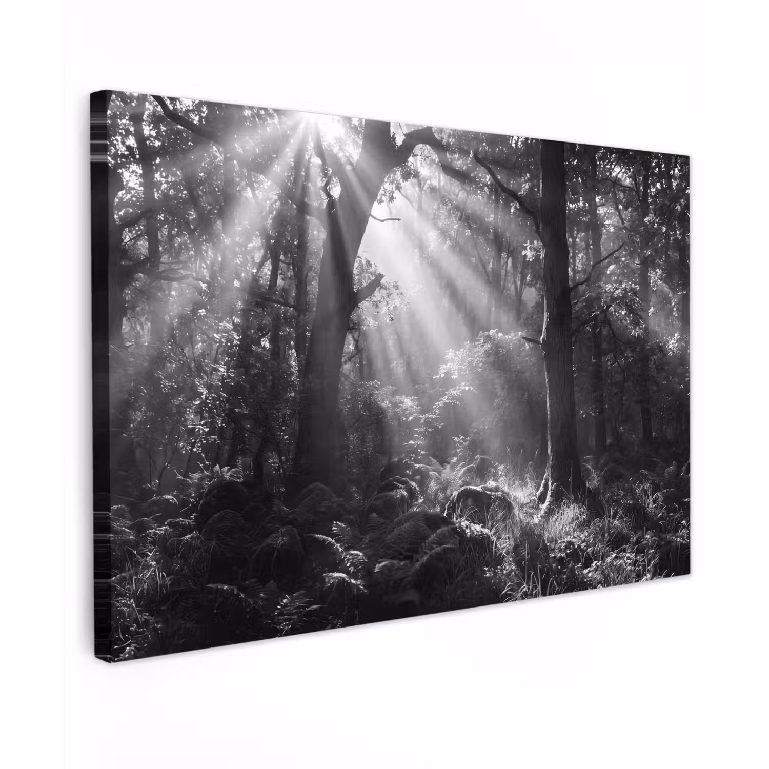 Bos - Lichtstralen - Natuur - Zwart-wit Tuinposter op houten frame 2 cm dik klein -3d