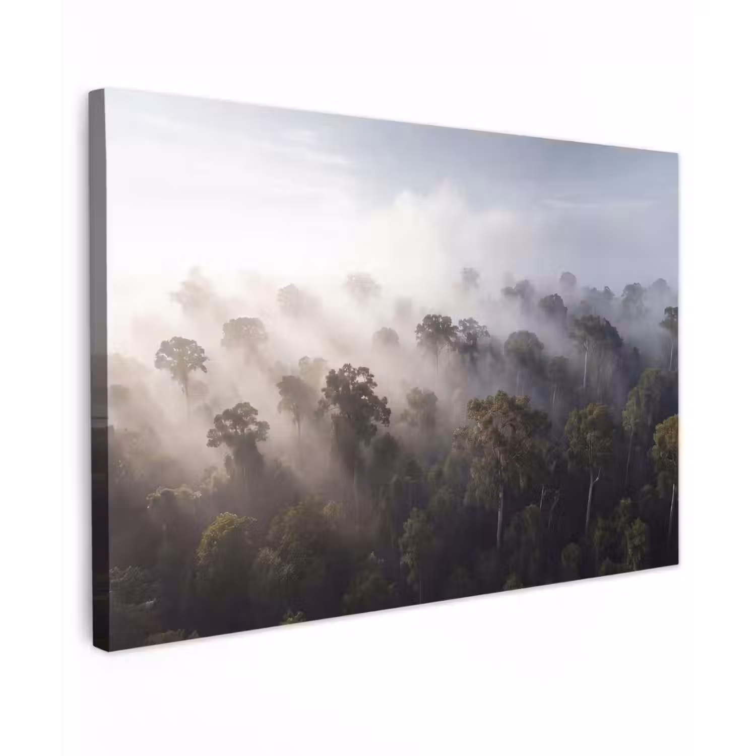 Bos - Mist - Natuur - Groen Tuinposter op houten frame 2 cm dik klein -3d