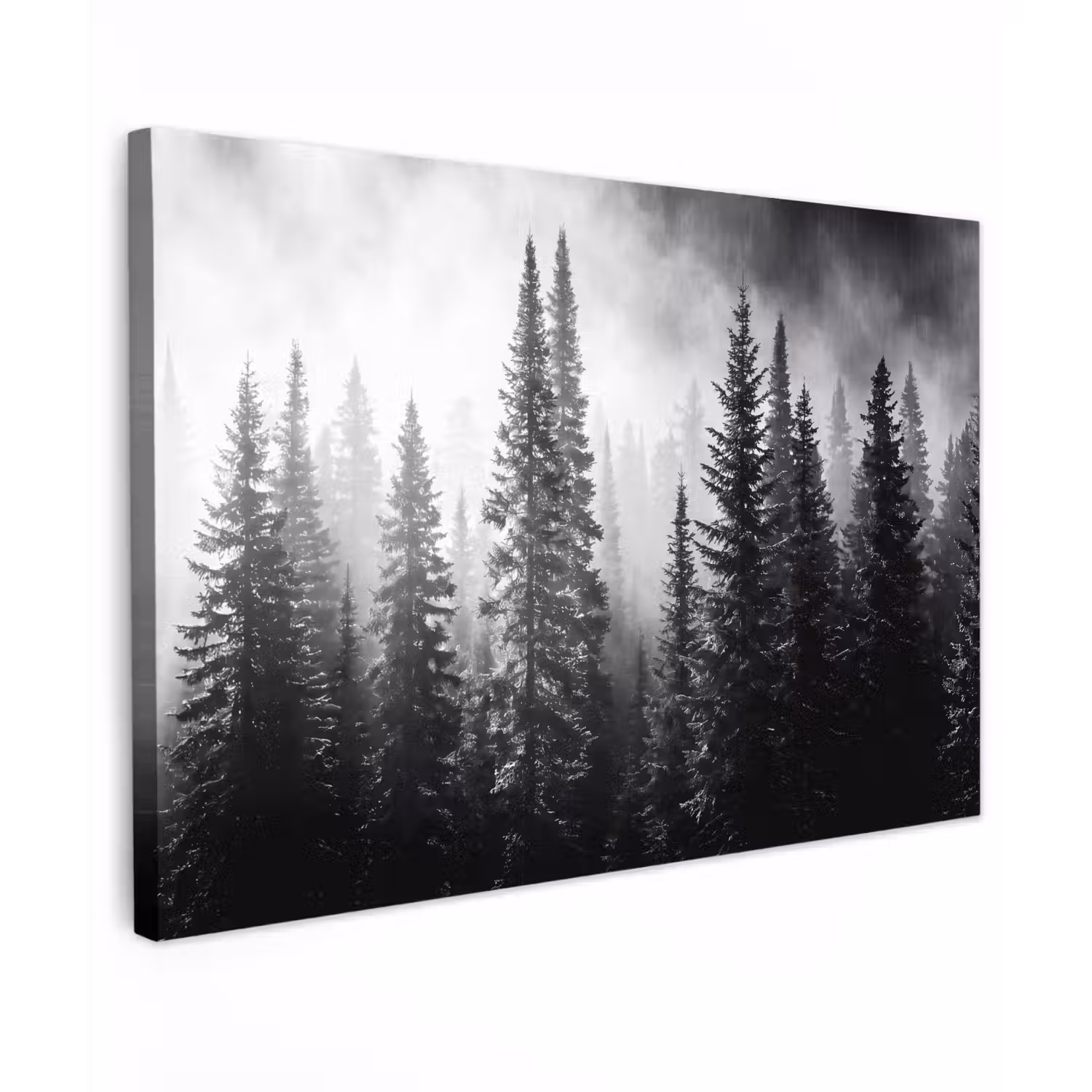 Bos - Mist - Winter - Monochroom - Natuur Tuinposter op houten frame 2 cm dik klein -3d