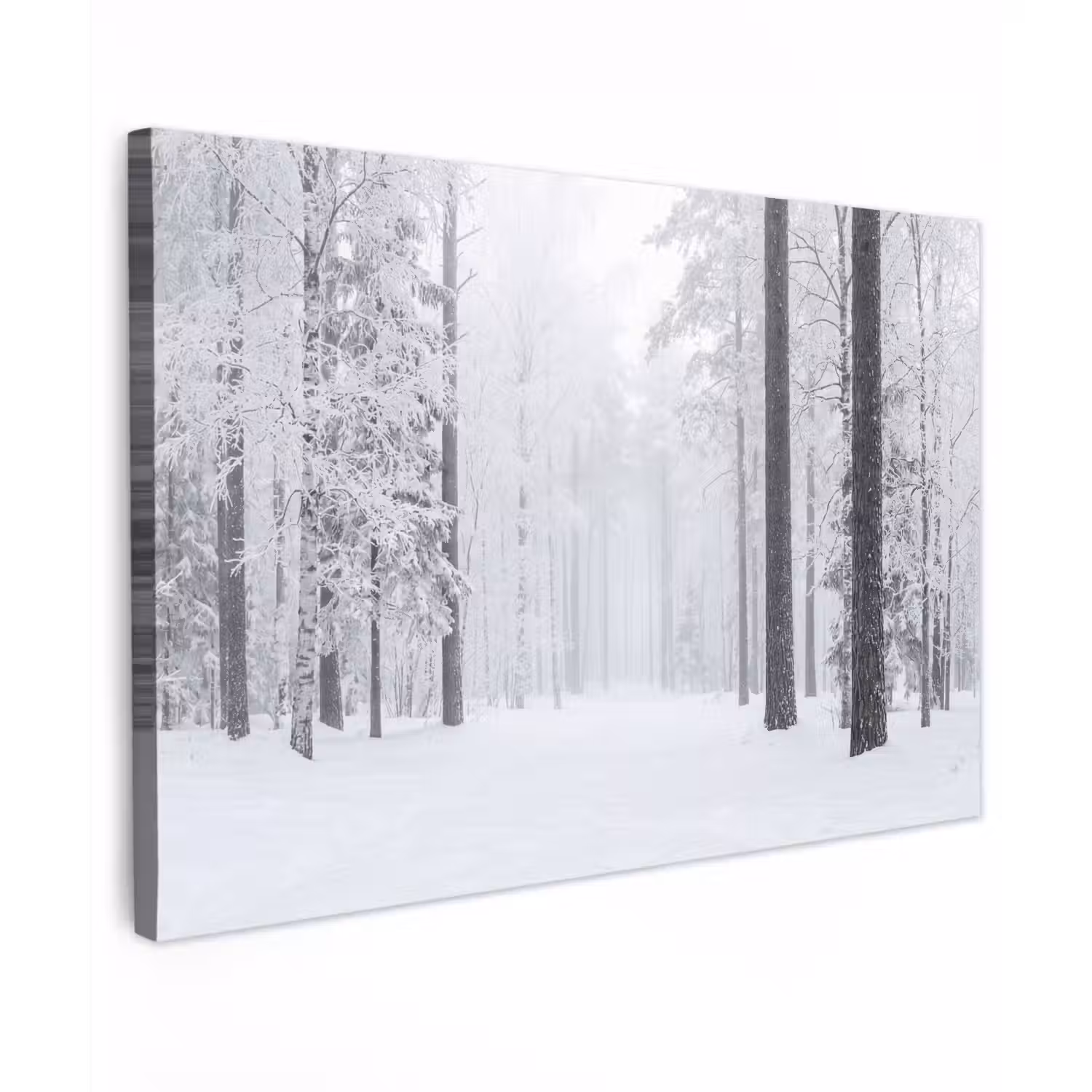 Bos - Sneeuw - Pad - Winter - Stilte Tuinposter op houten frame 2 cm dik klein -3d