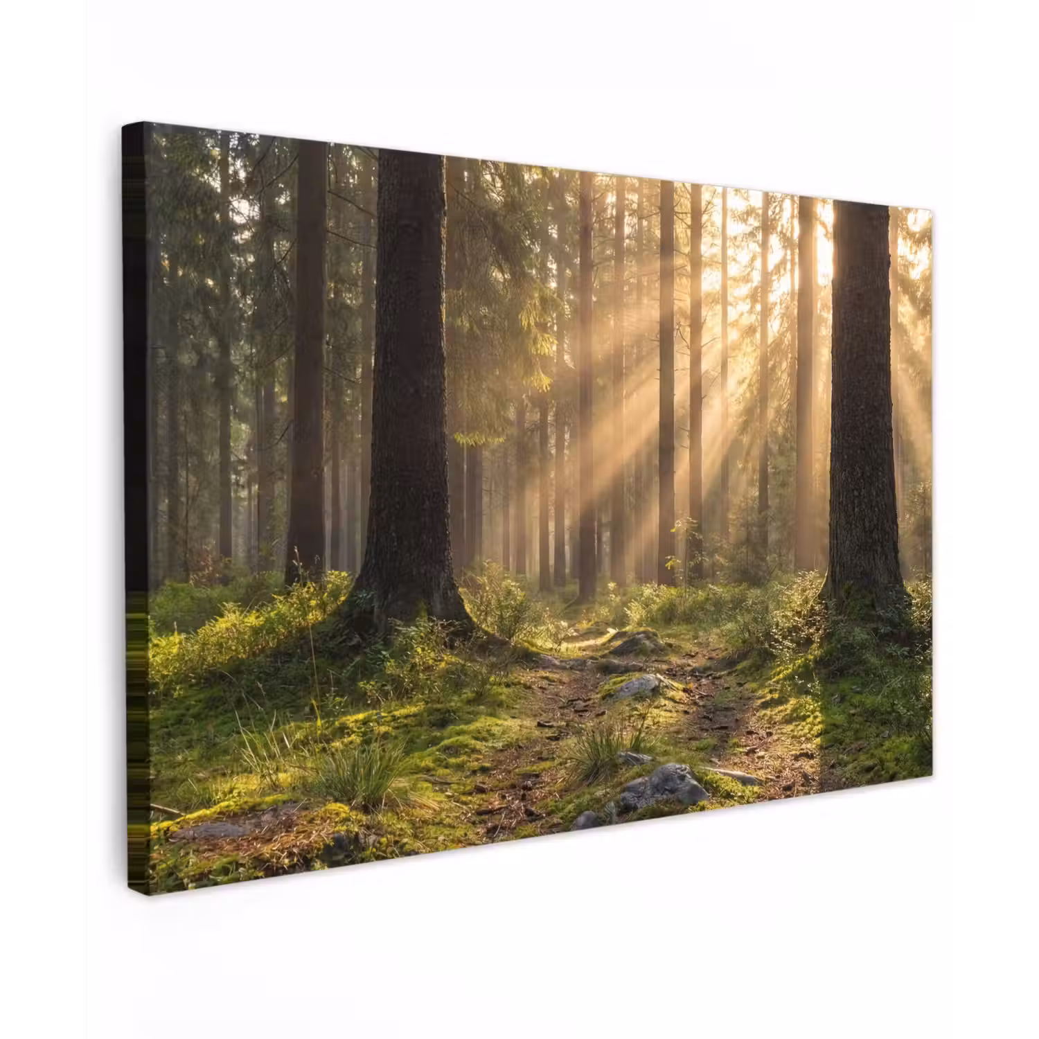 Bos - Zonlicht - Gras Tuinposter op houten frame 2 cm dik klein -3d