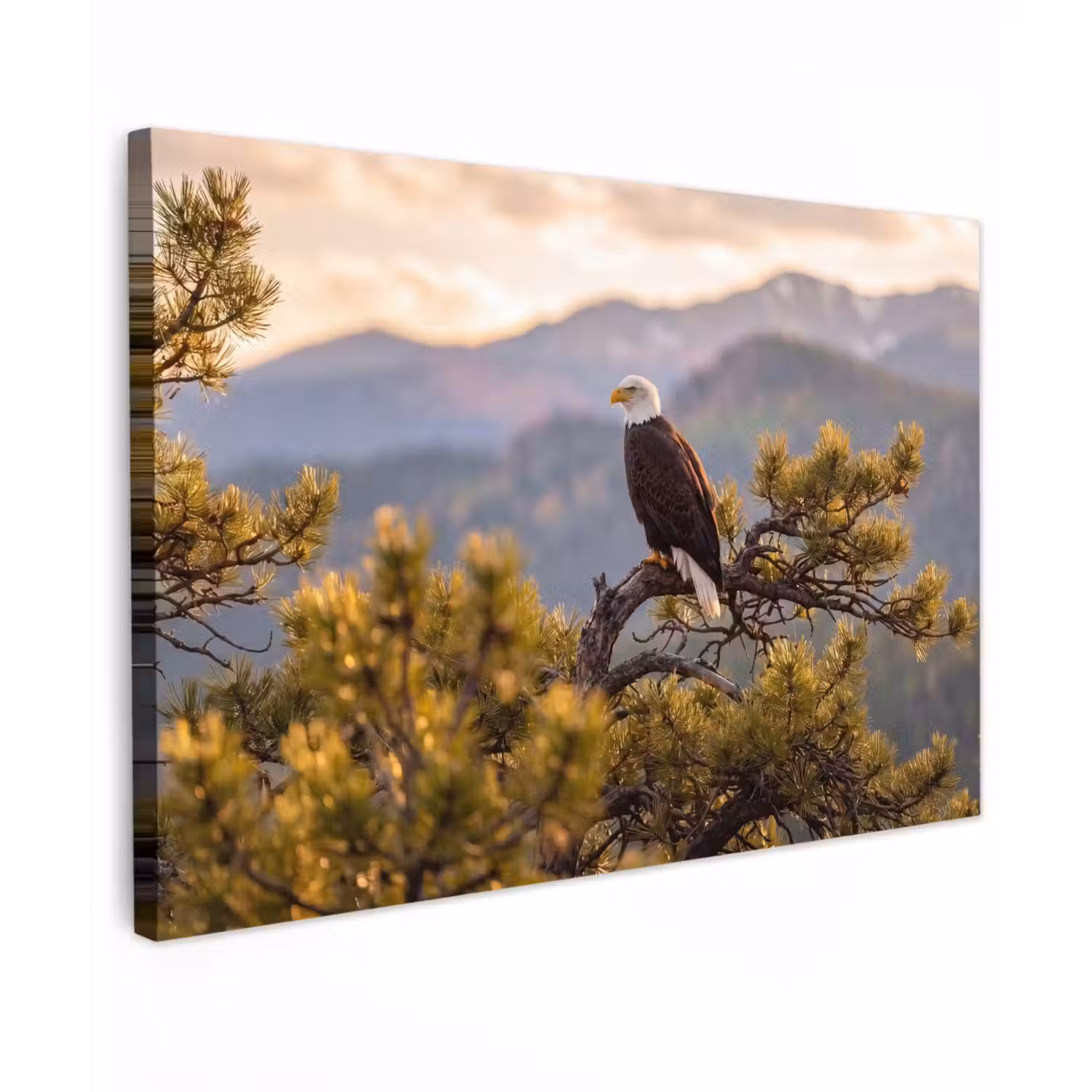Zeearend - Boom - Bergen - Groen Tuinposter op houten frame 2 cm dik klein -3d