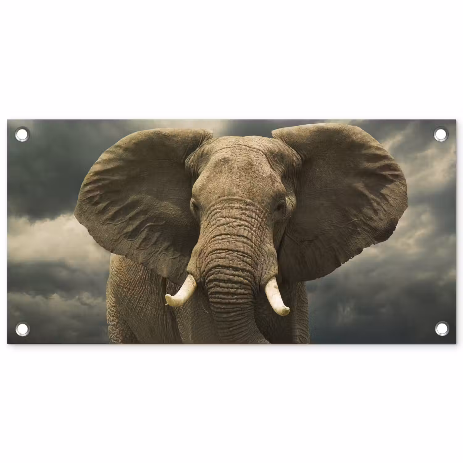 Afrikaanse olifant tegen de donkere wolken tuinposter los doek klein -3d