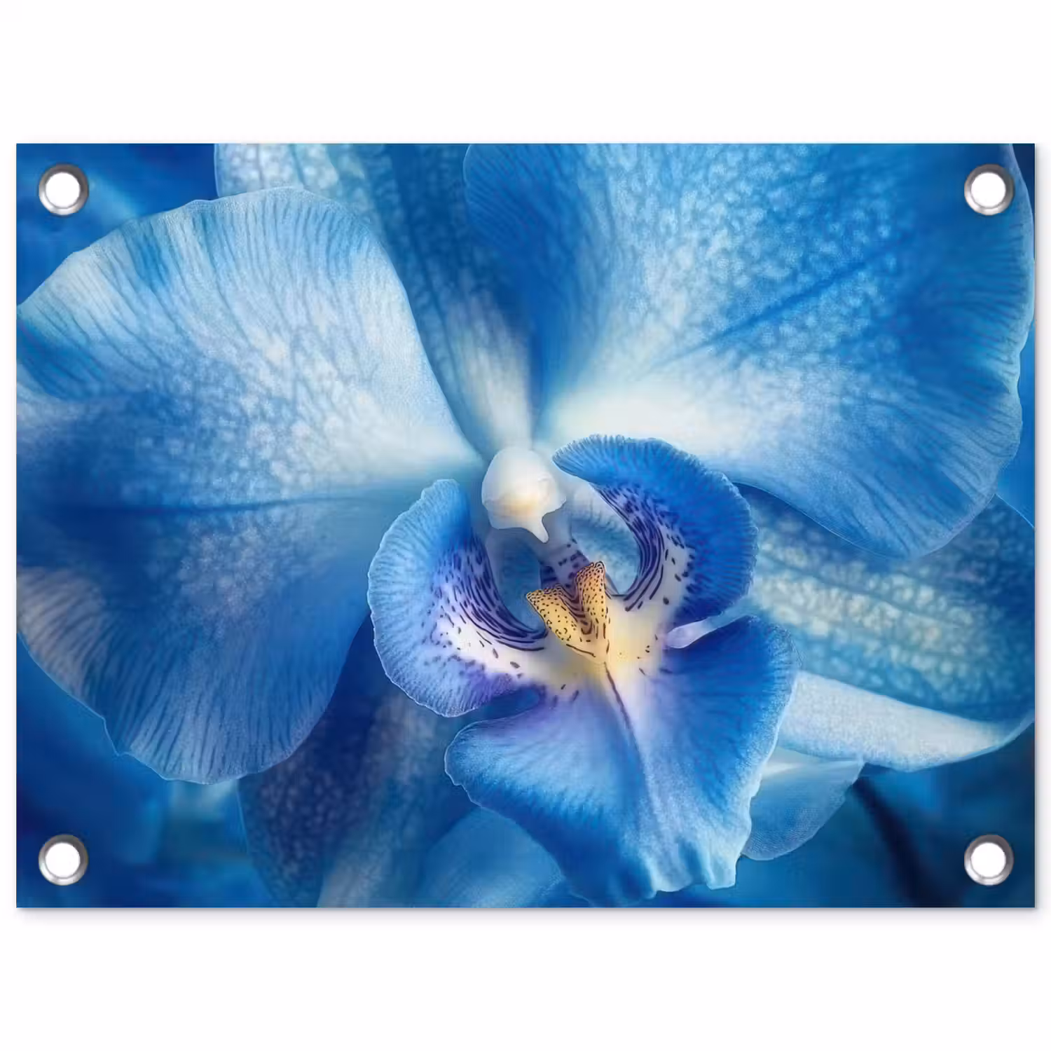 Blauw - Orchidee - Elegeant tuinposter los doek klein -3d