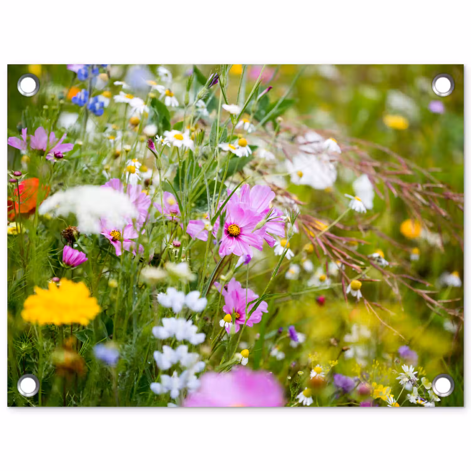 Bloemen - Natuur - Groen - Gras - Paars - Wit tuinposter los doek klein -3d