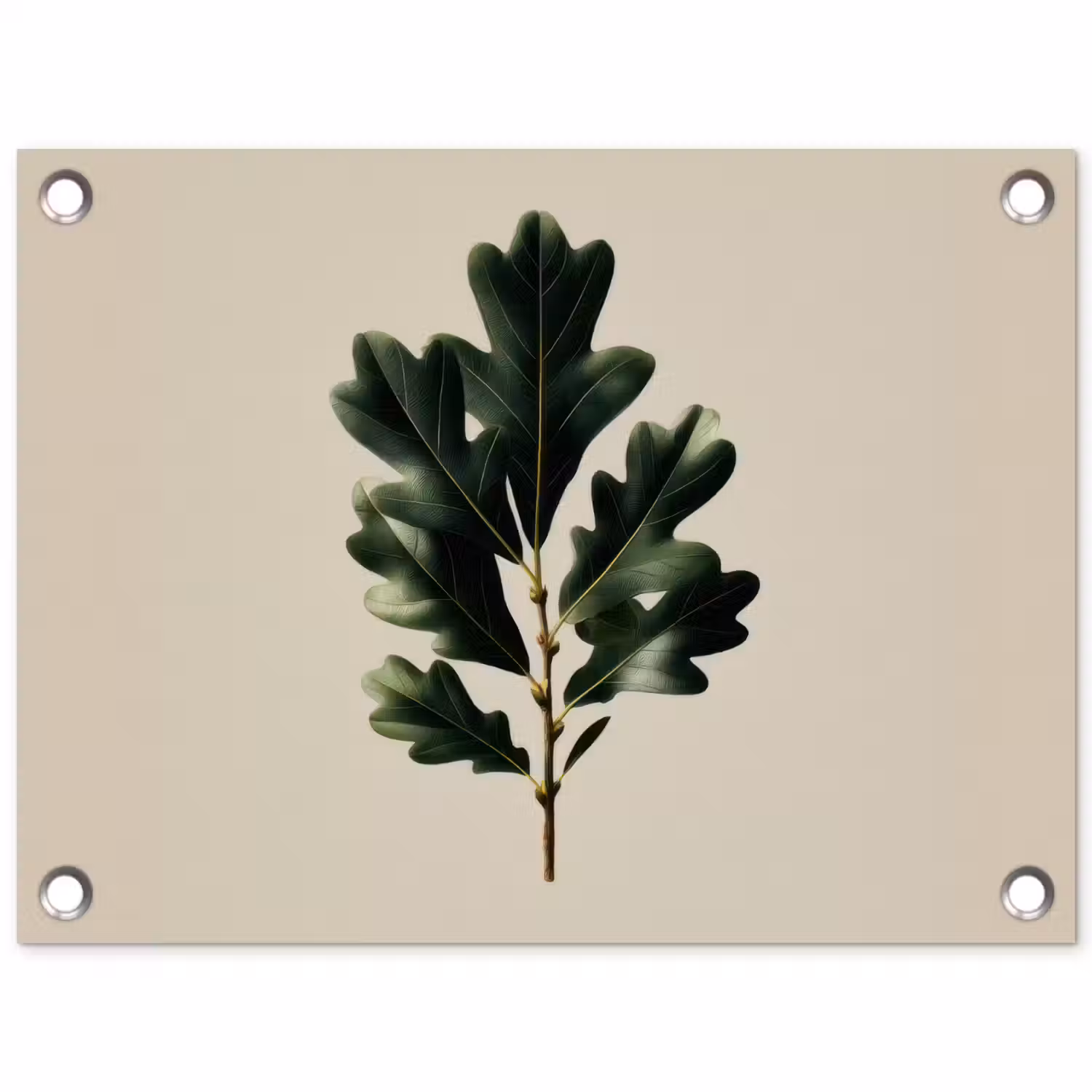 Eikenbladeren - Beige - Groen - Golvende randen tuinposter los doek klein -3d