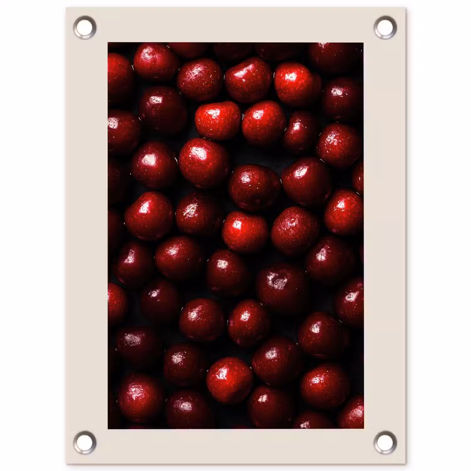 Kersen - Rood tuinposter los doek klein -3d