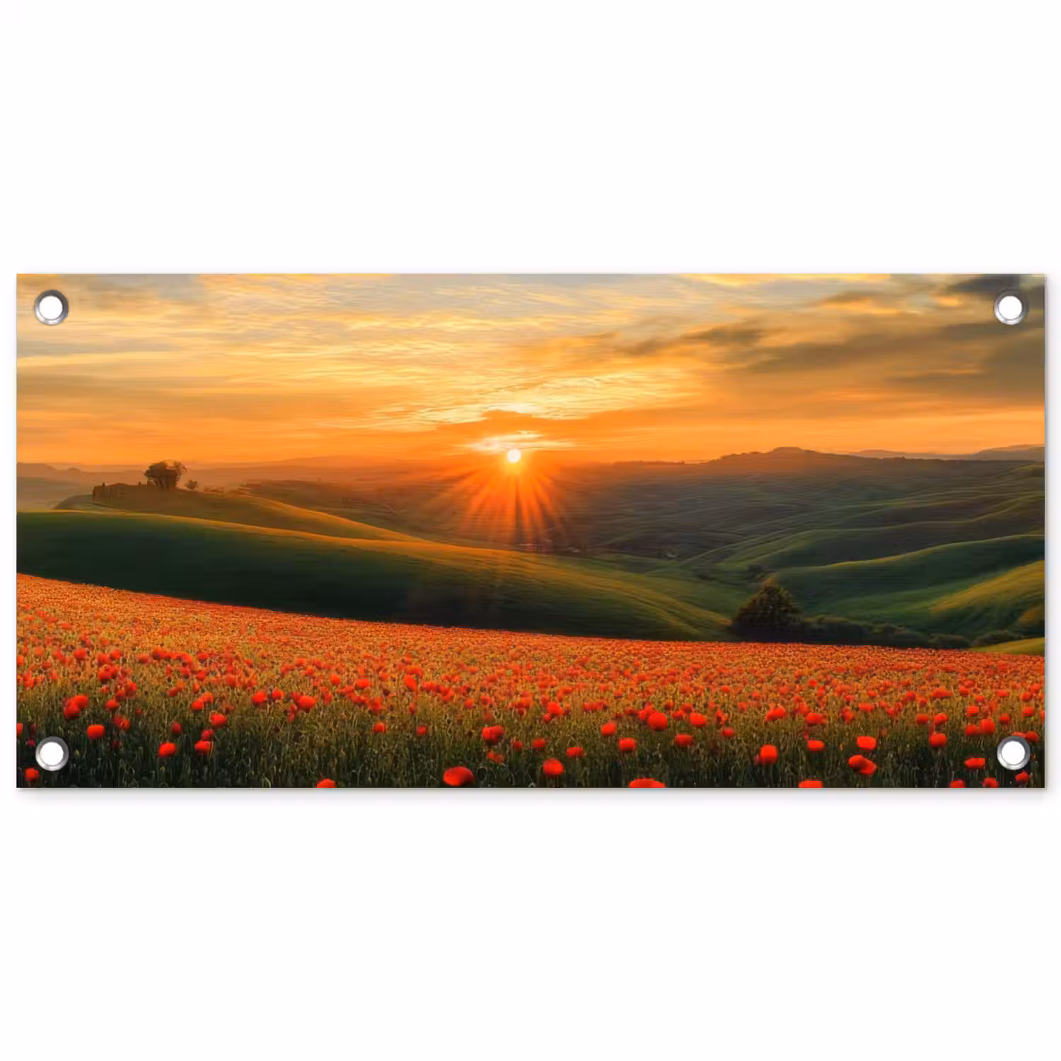 Klaprozen - Bloemen - Heuvels - Zonsondergang tuinposter los doek klein -3d
