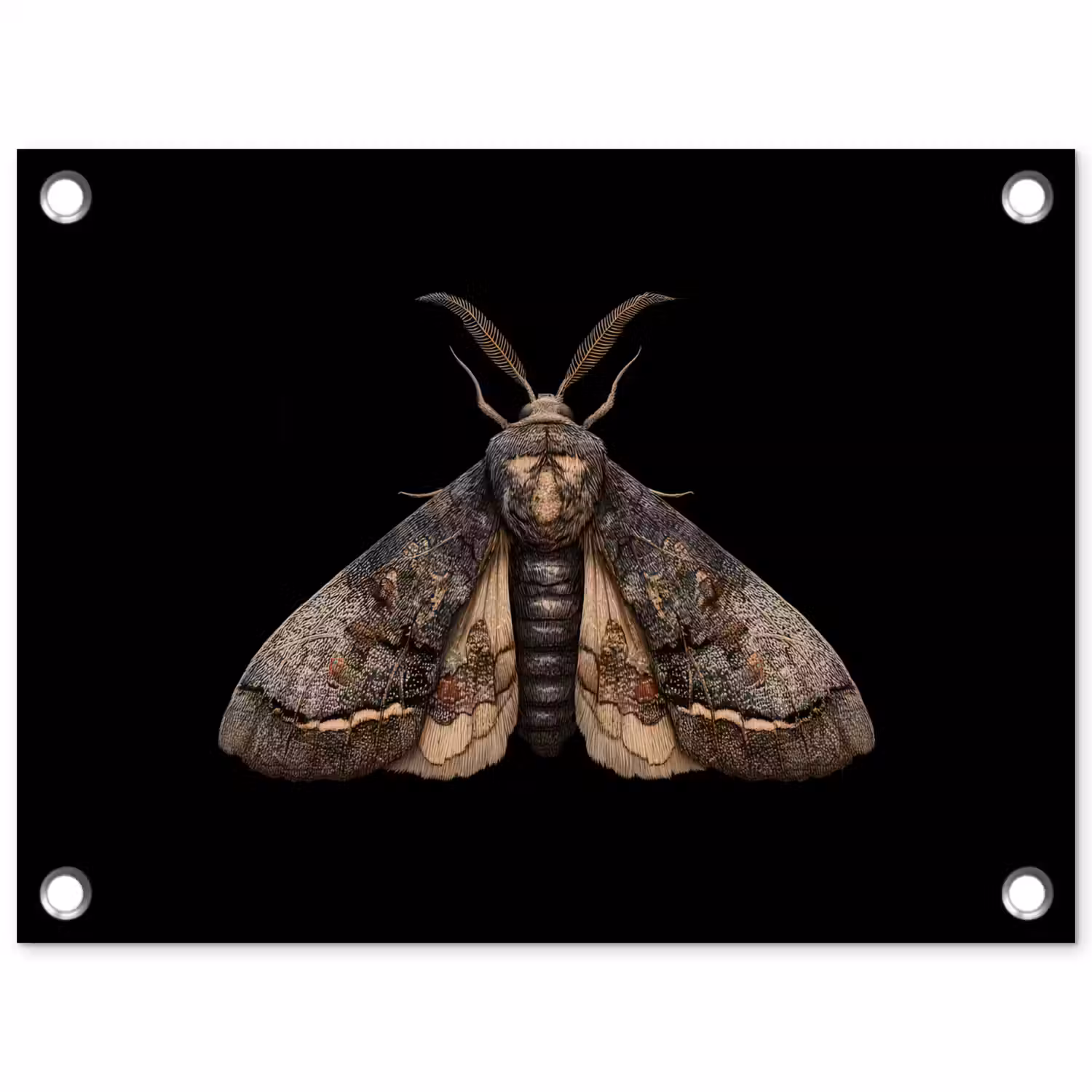 Mot - Bladachtig - Grijs tuinposter los doek klein -3d