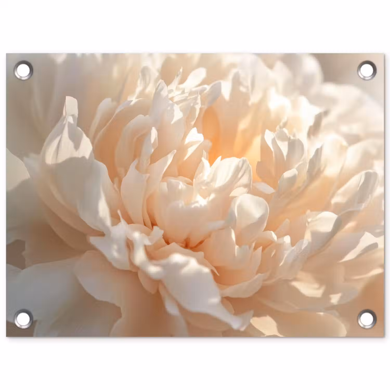 Close up - Pioenroos - Lichtroze tuinposter los doek klein -3d